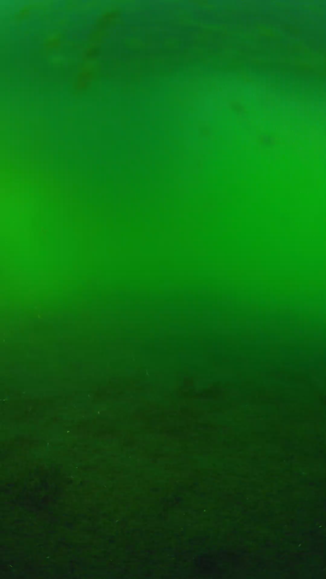 lander_ipcam_20240621183549.png