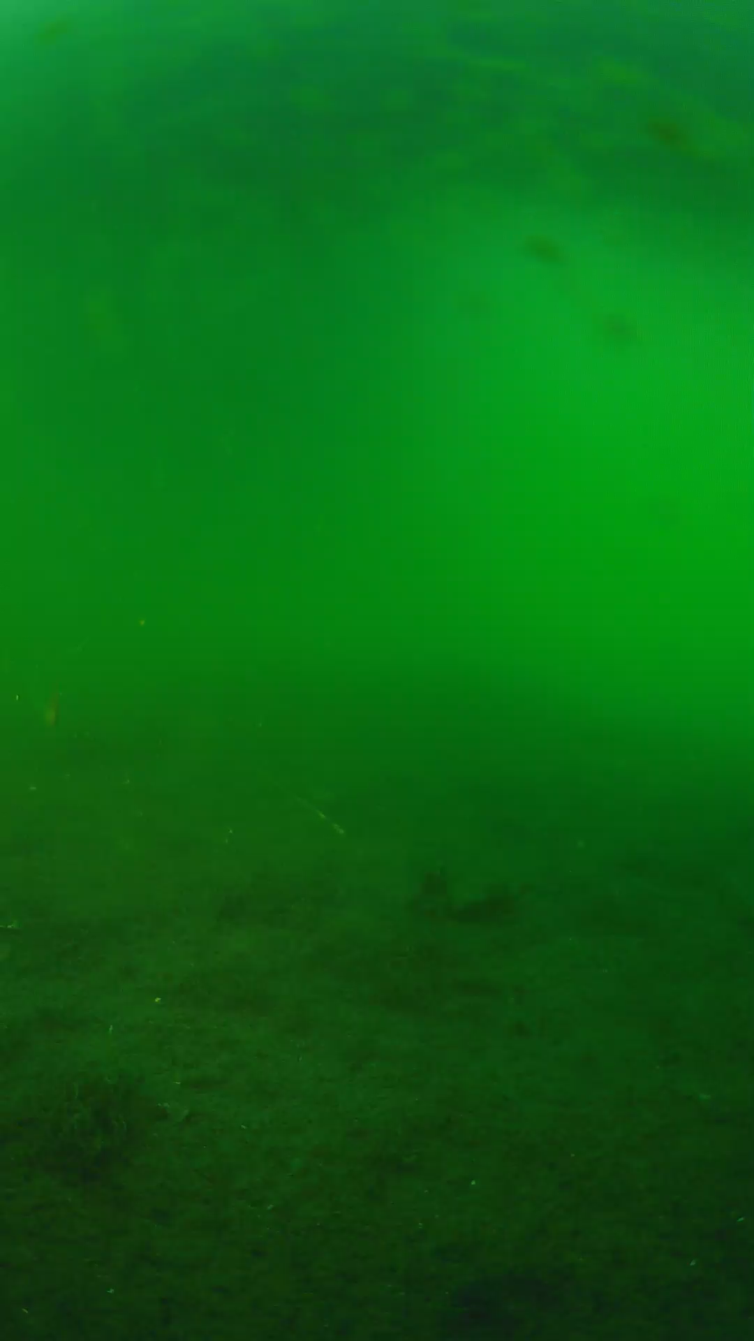 lander_ipcam_20240621190542.png