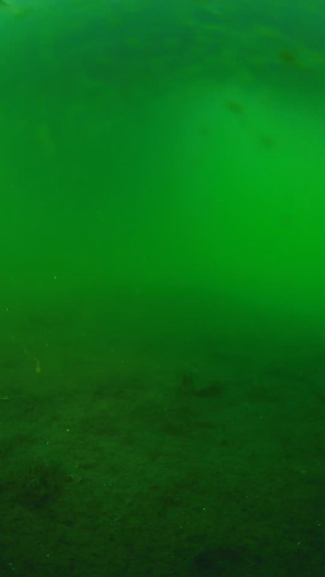 lander_ipcam_20240621190545.png