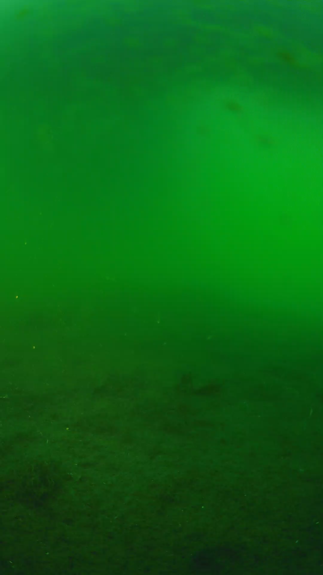lander_ipcam_20240621190554.png