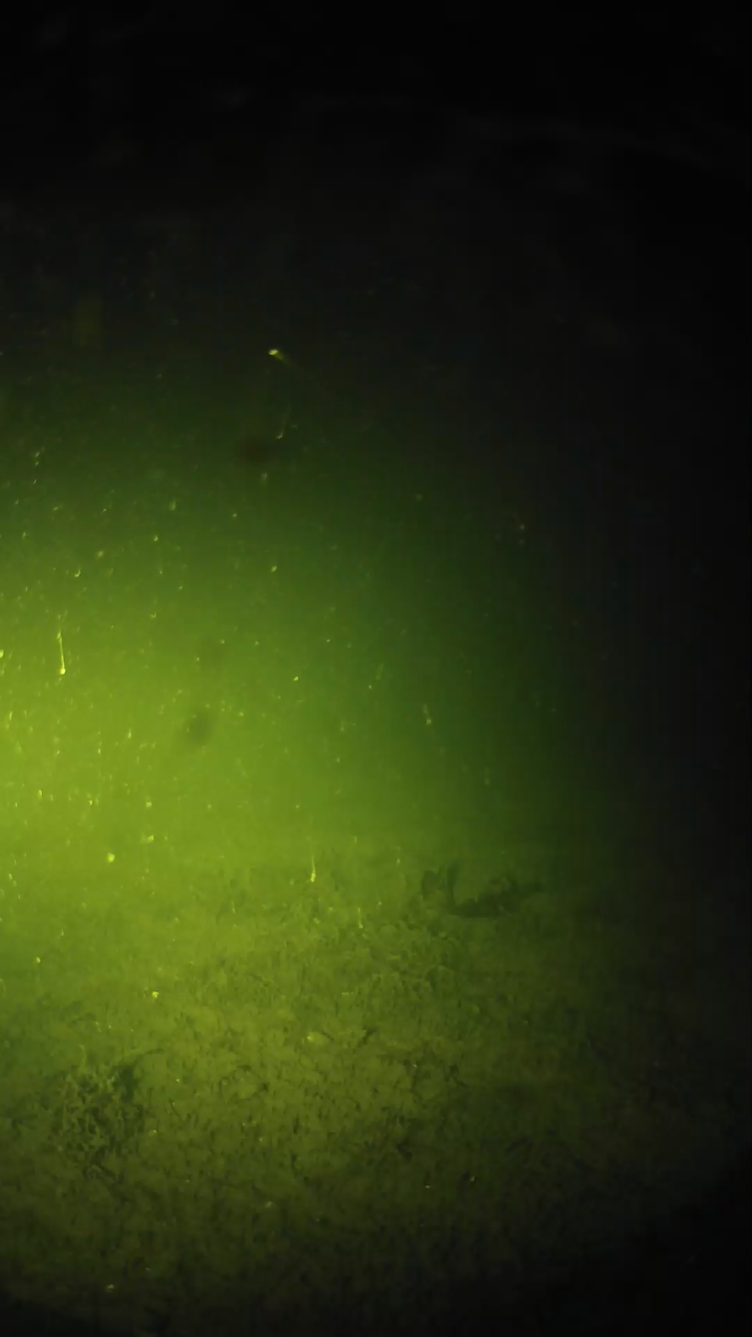lander_ipcam_20240622010607.png