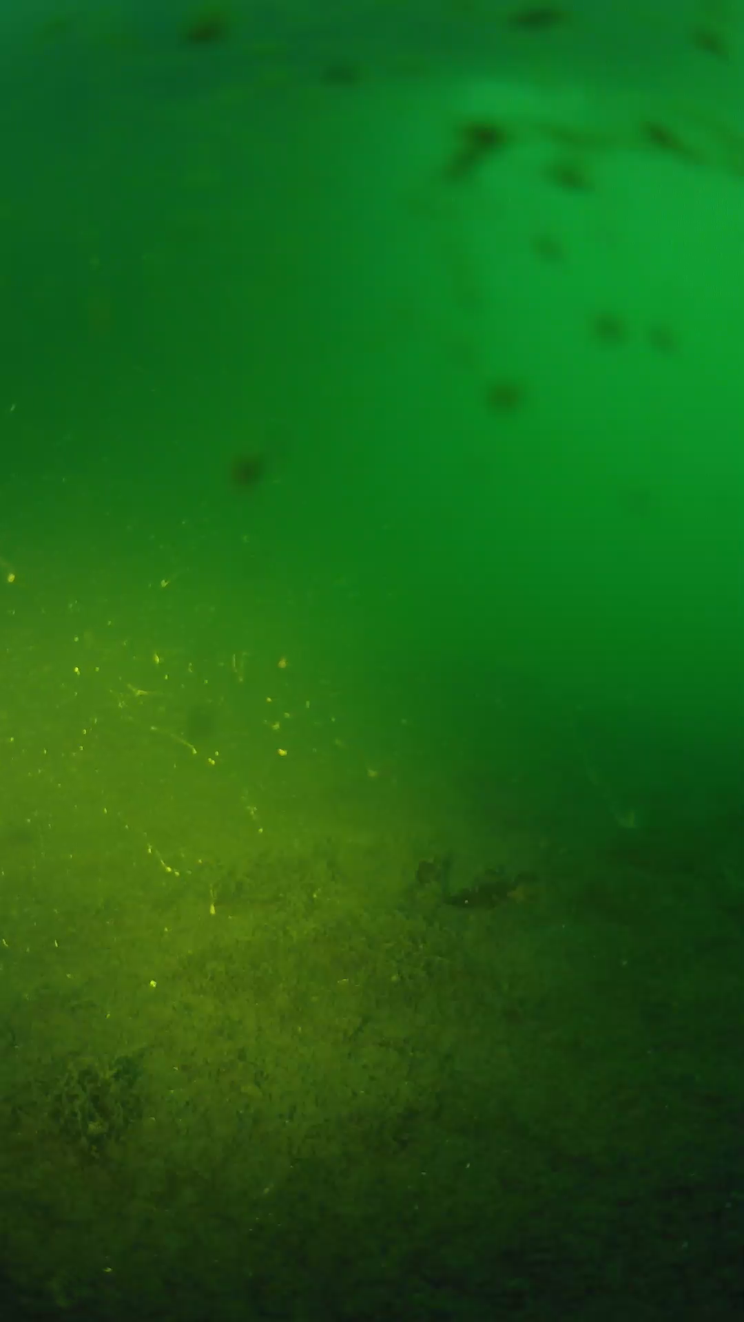 lander_ipcam_20240622050547.png
