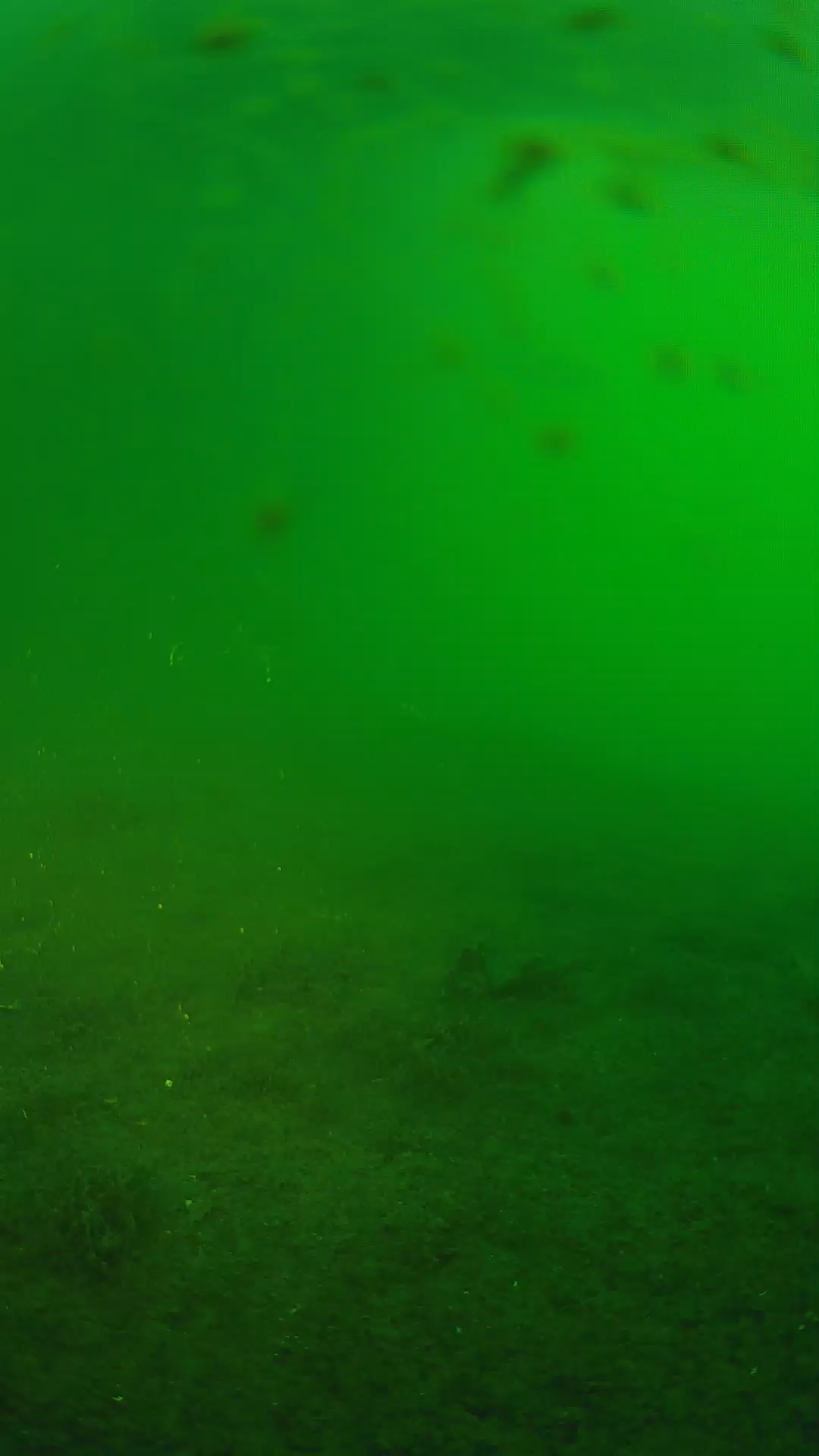 lander_ipcam_20240622053538.png