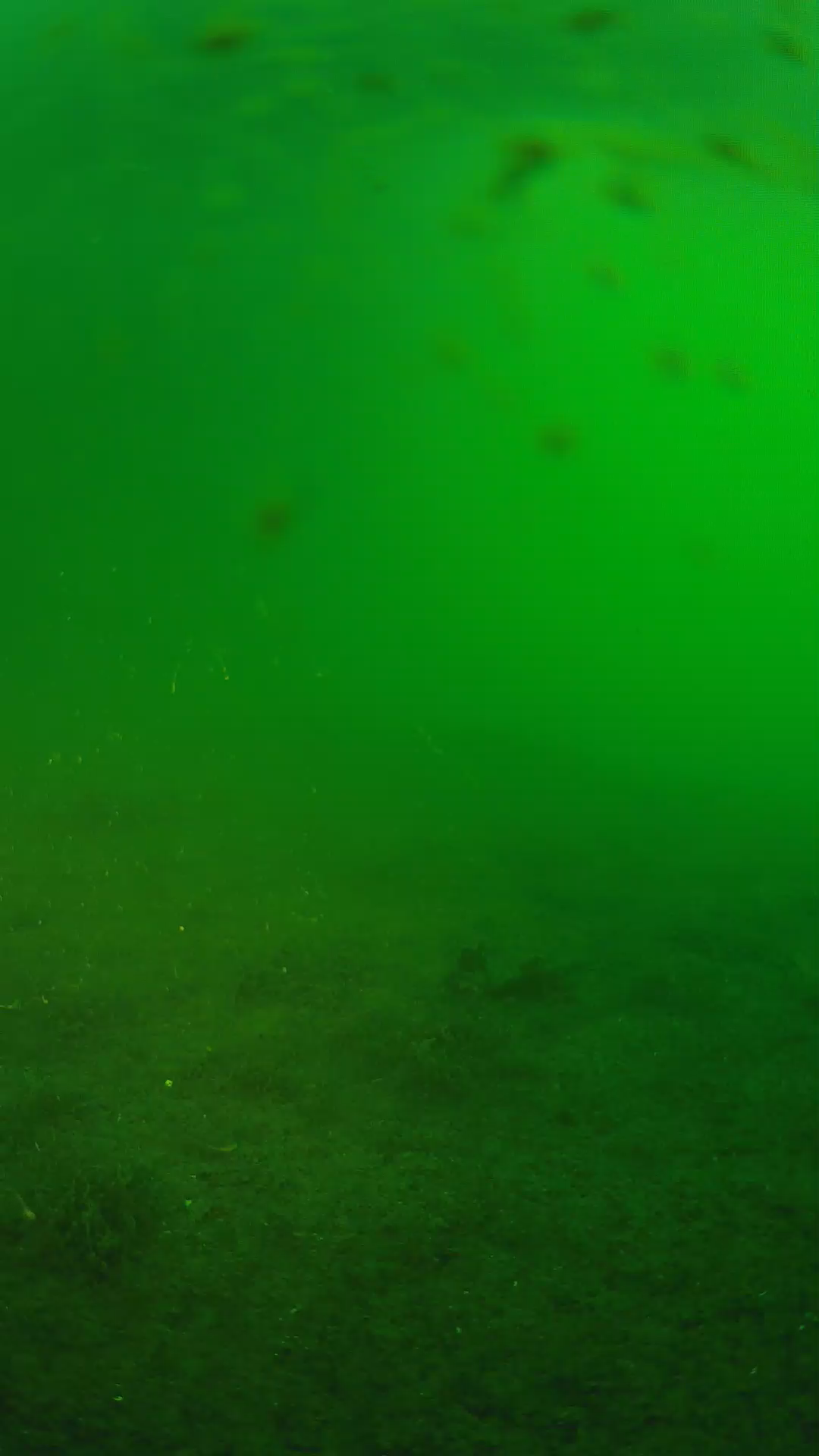 lander_ipcam_20240622053553.png