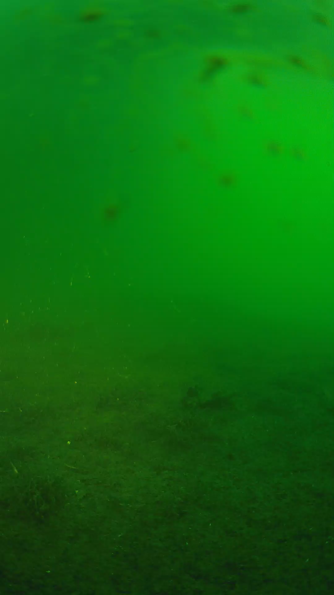 lander_ipcam_20240622053556.png