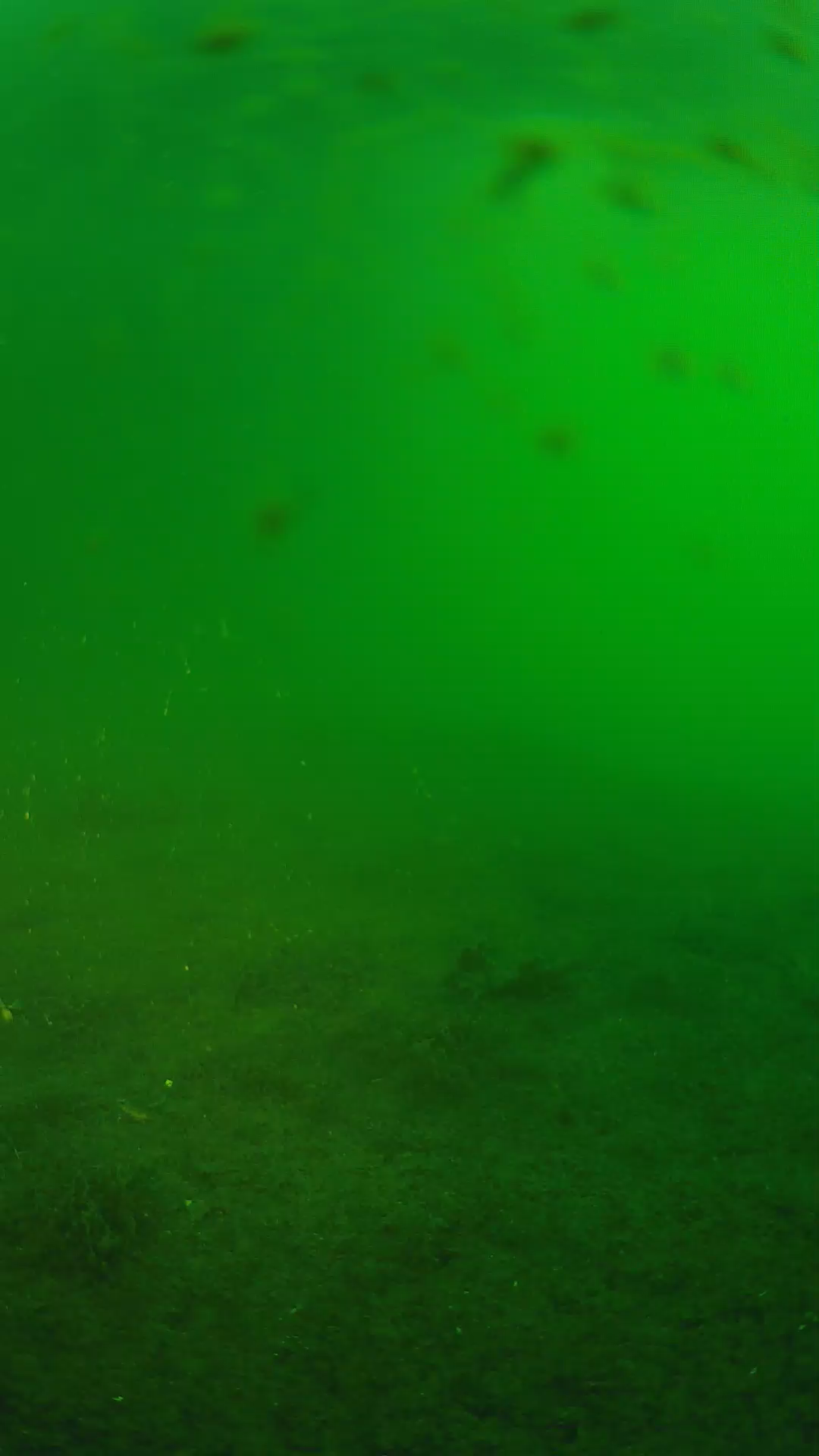 lander_ipcam_20240622053605.png