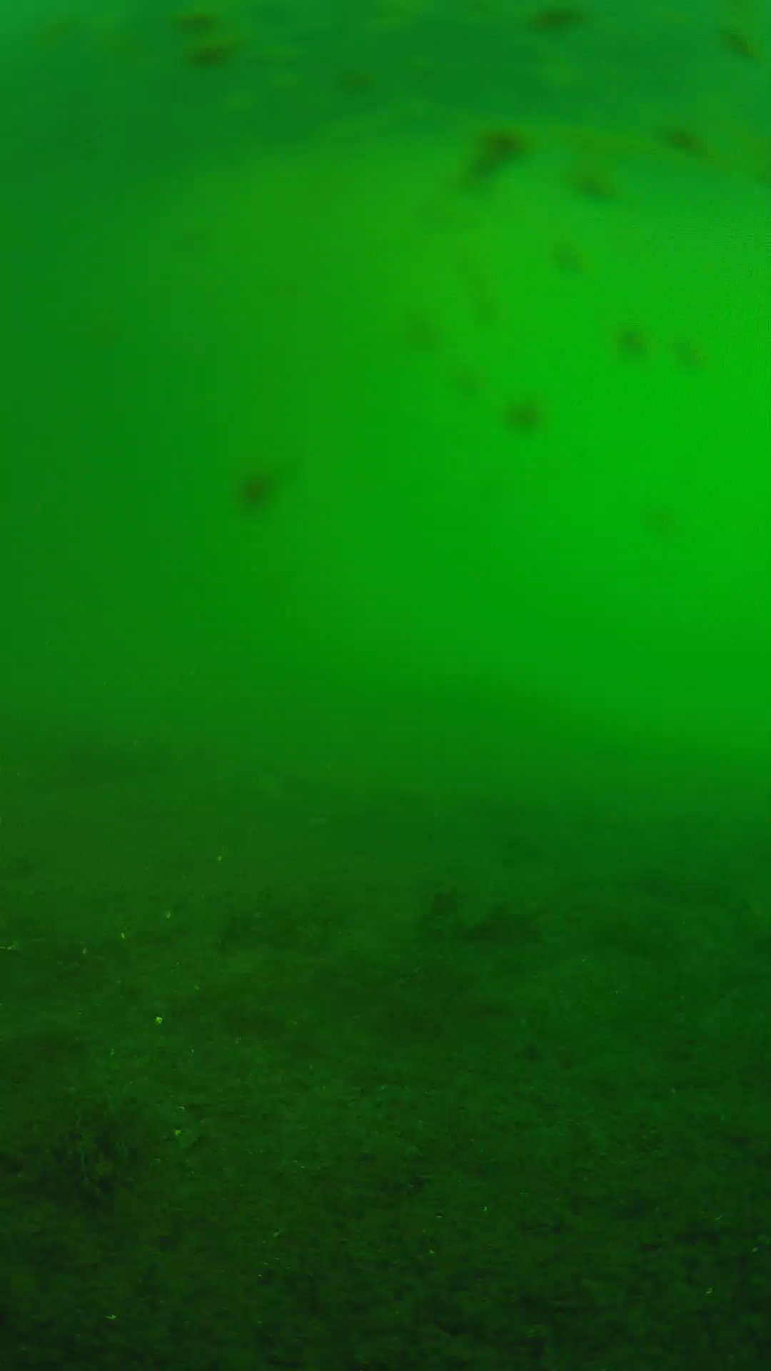 lander_ipcam_20240622060545.png