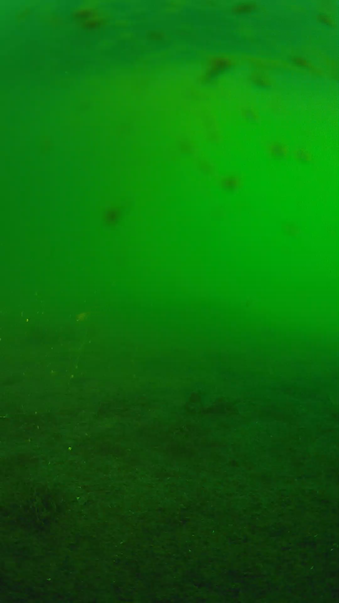 lander_ipcam_20240622060555.png