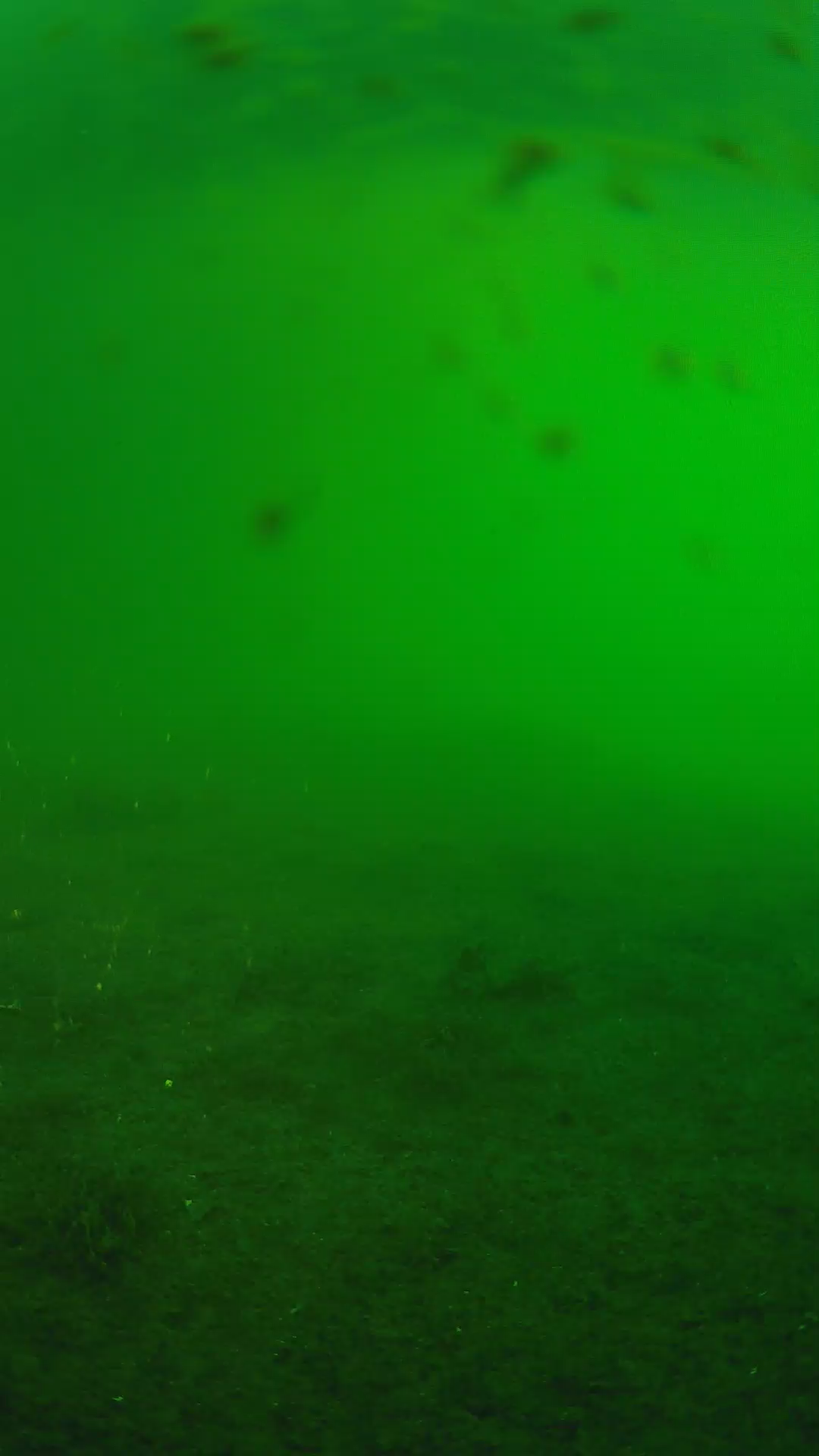 lander_ipcam_20240622060605.png