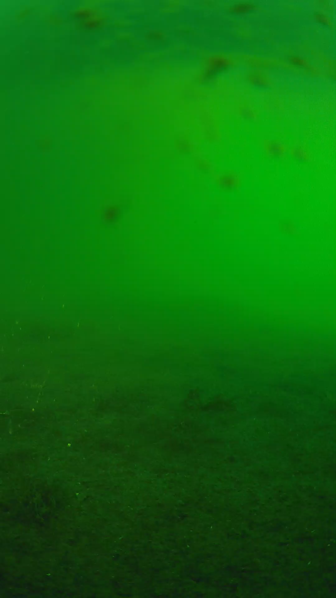 lander_ipcam_20240622060607.png