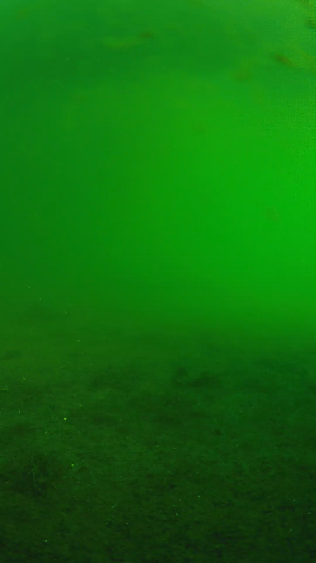 lander_ipcam_20240622063544.png
