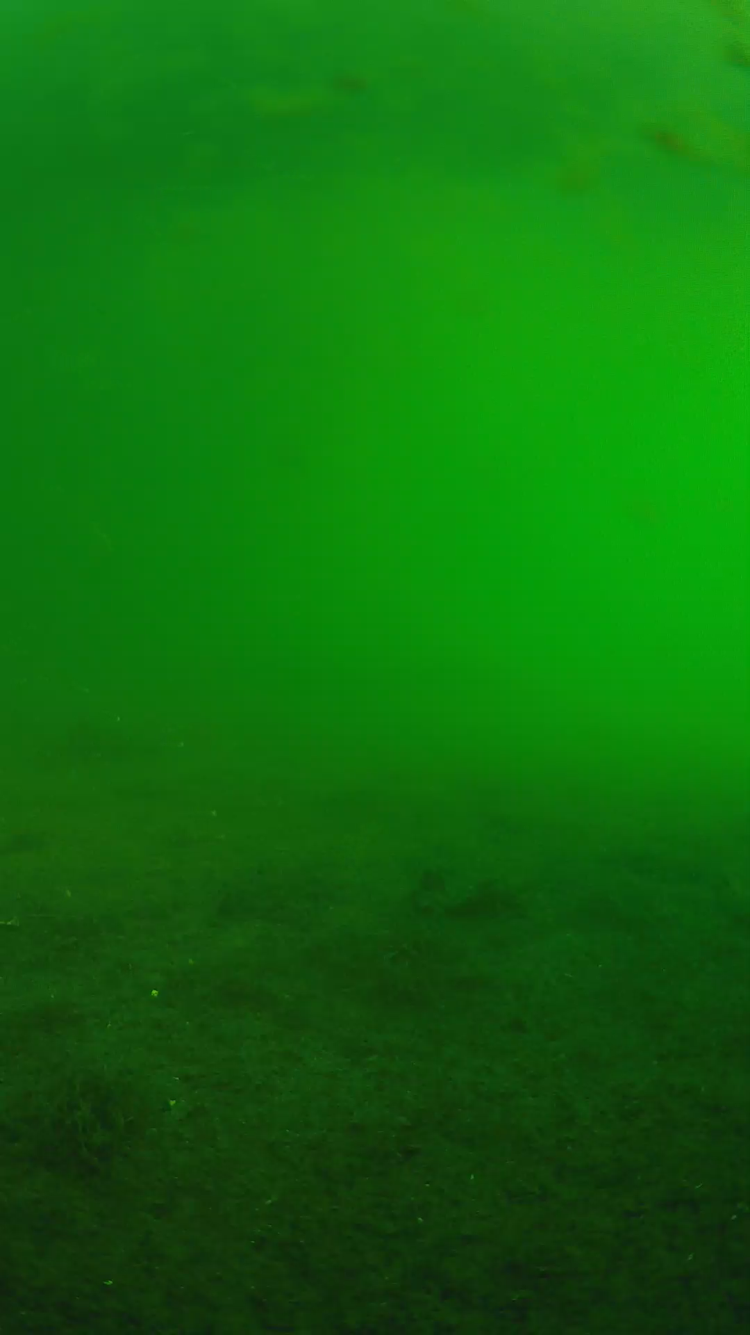 lander_ipcam_20240622063545.png