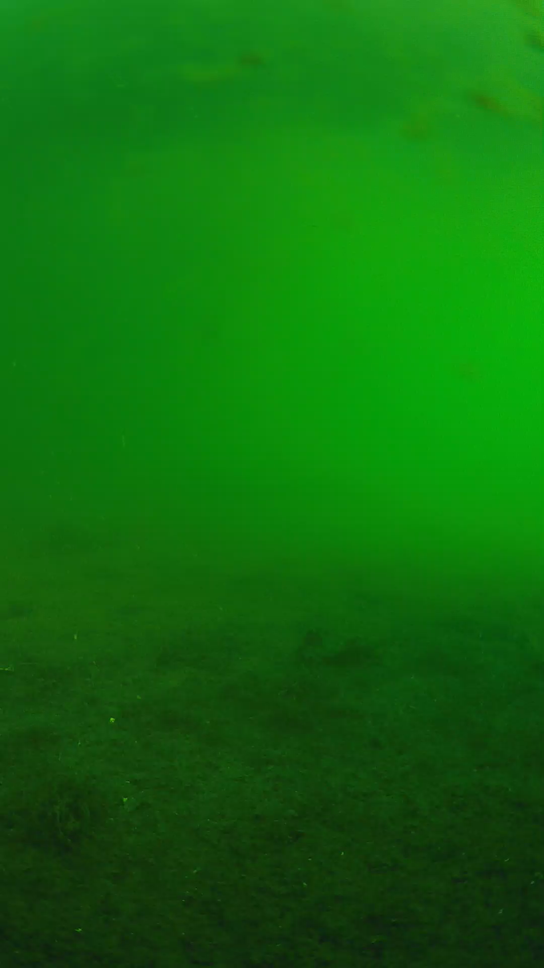 lander_ipcam_20240622063548.png