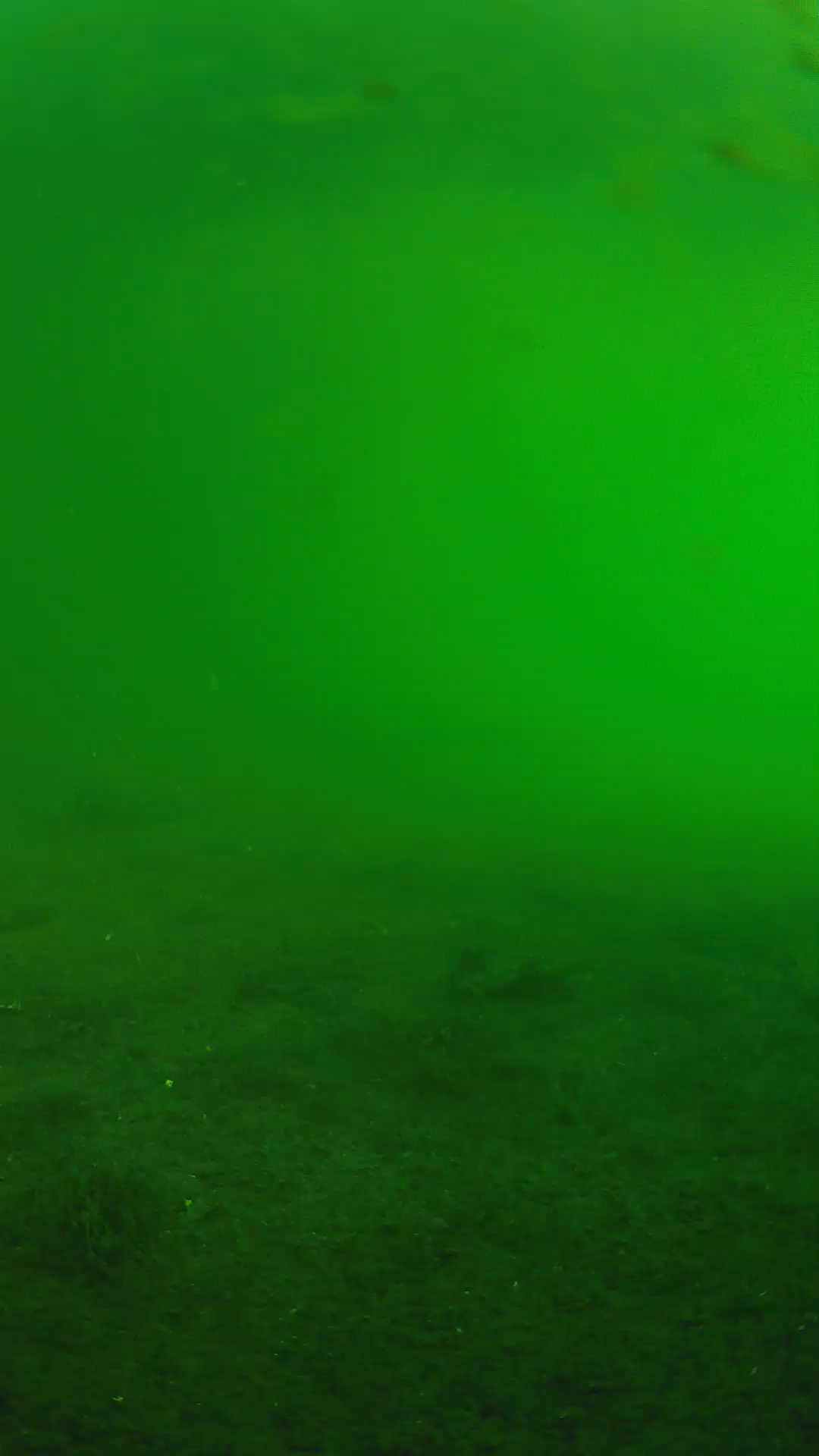 lander_ipcam_20240622063550.png