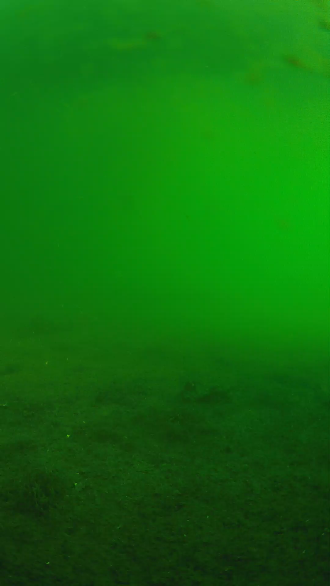 lander_ipcam_20240622063553.png