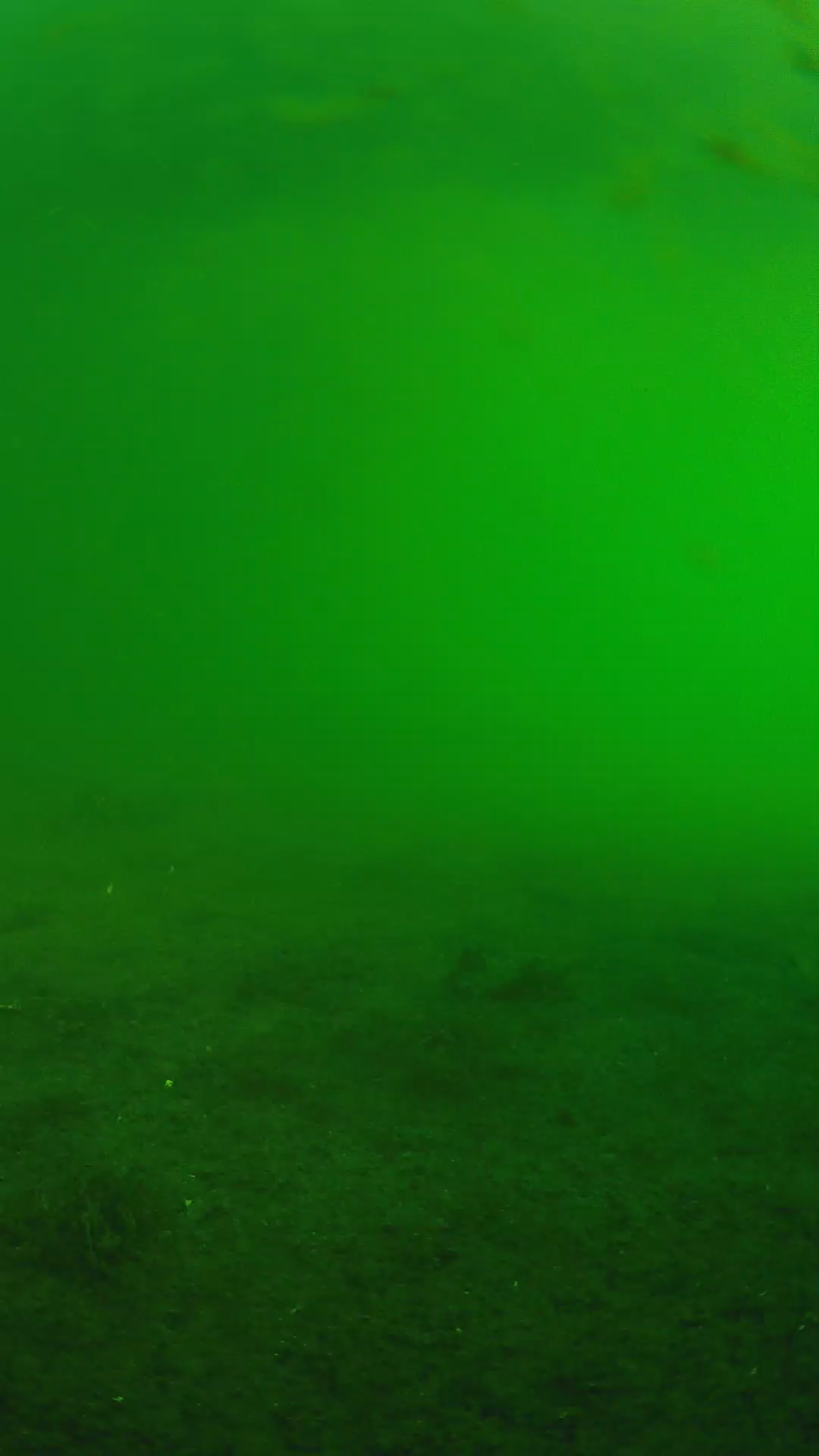lander_ipcam_20240622063554.png