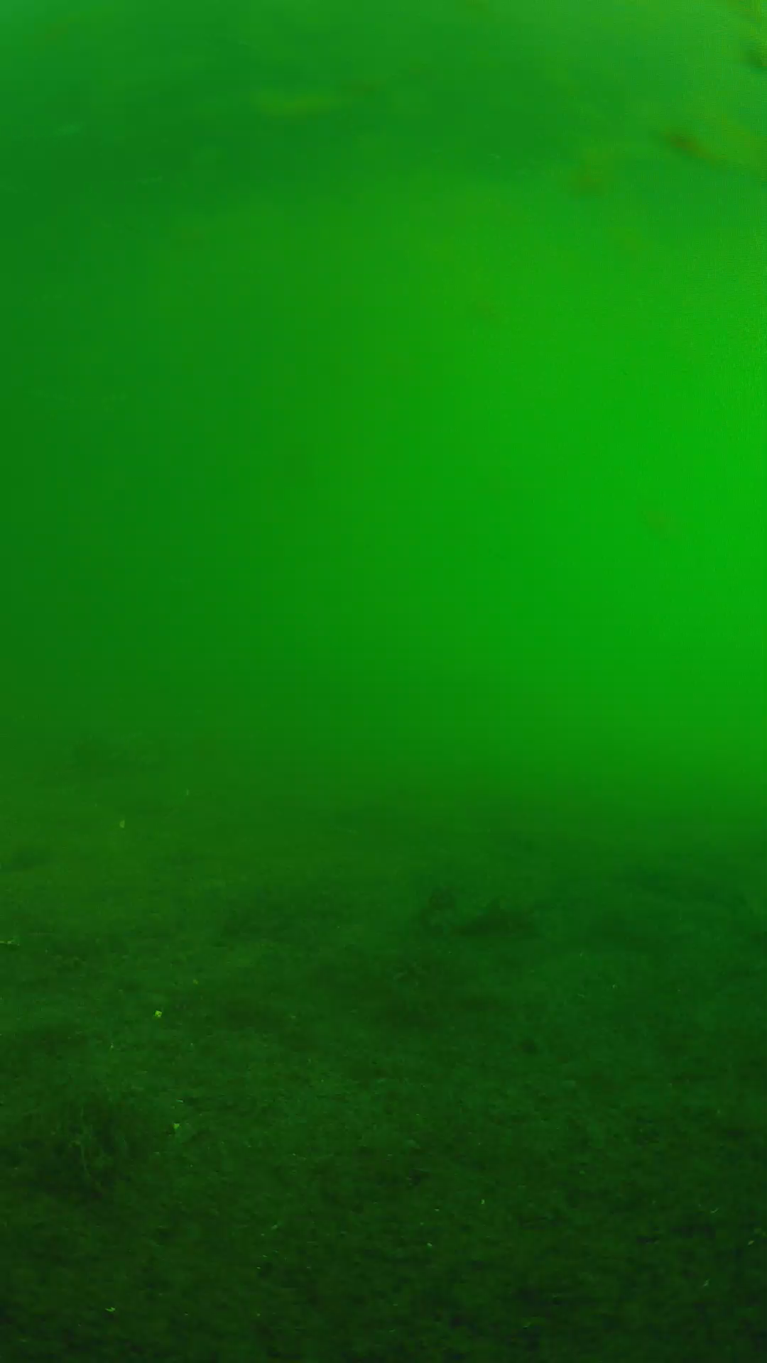 lander_ipcam_20240622063555.png