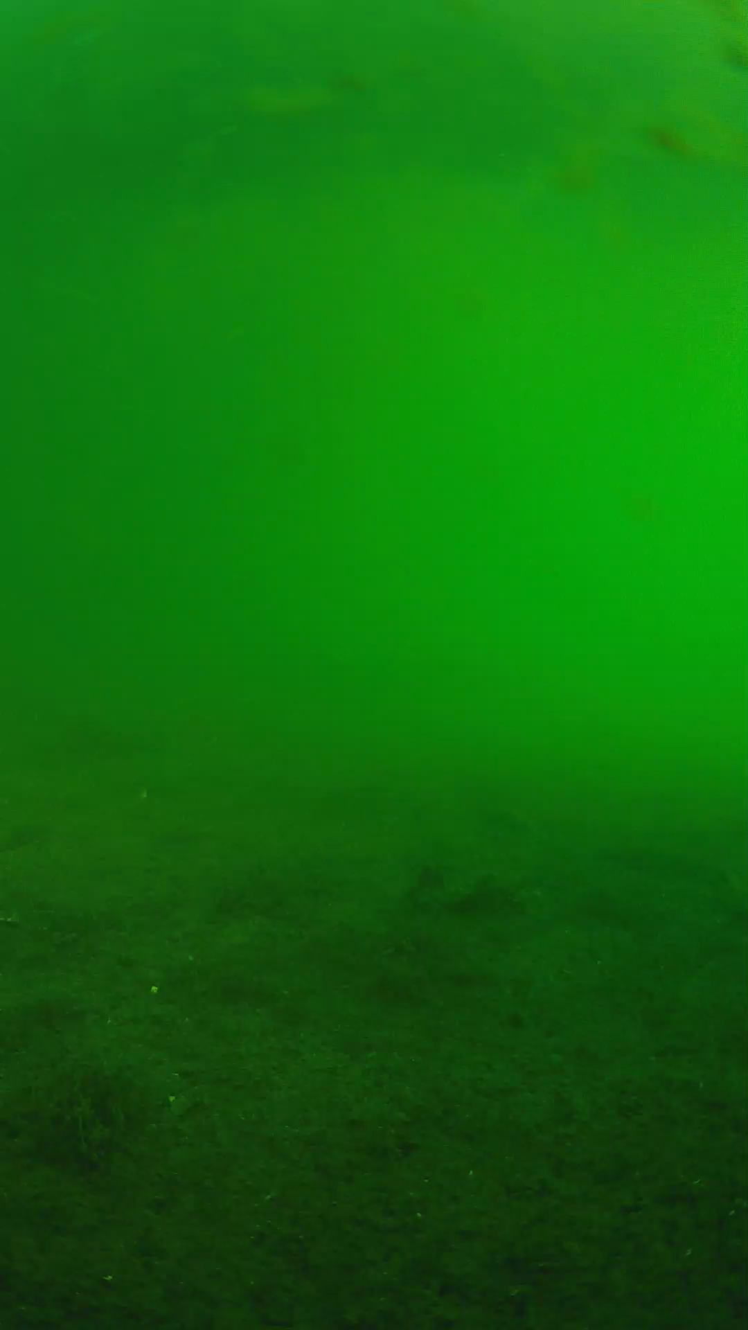 lander_ipcam_20240622063557.png