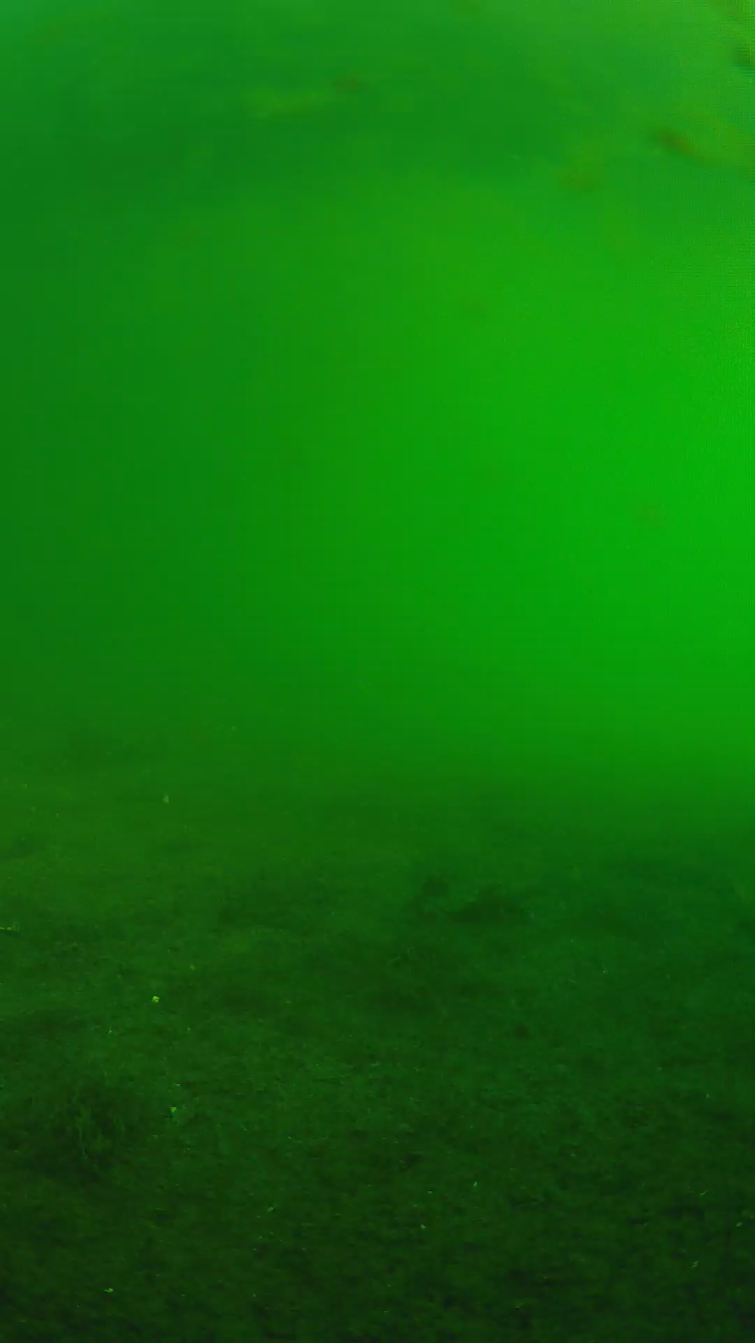 lander_ipcam_20240622063558.png