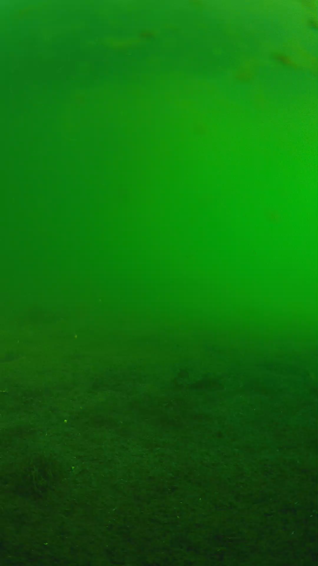 lander_ipcam_20240622063559.png