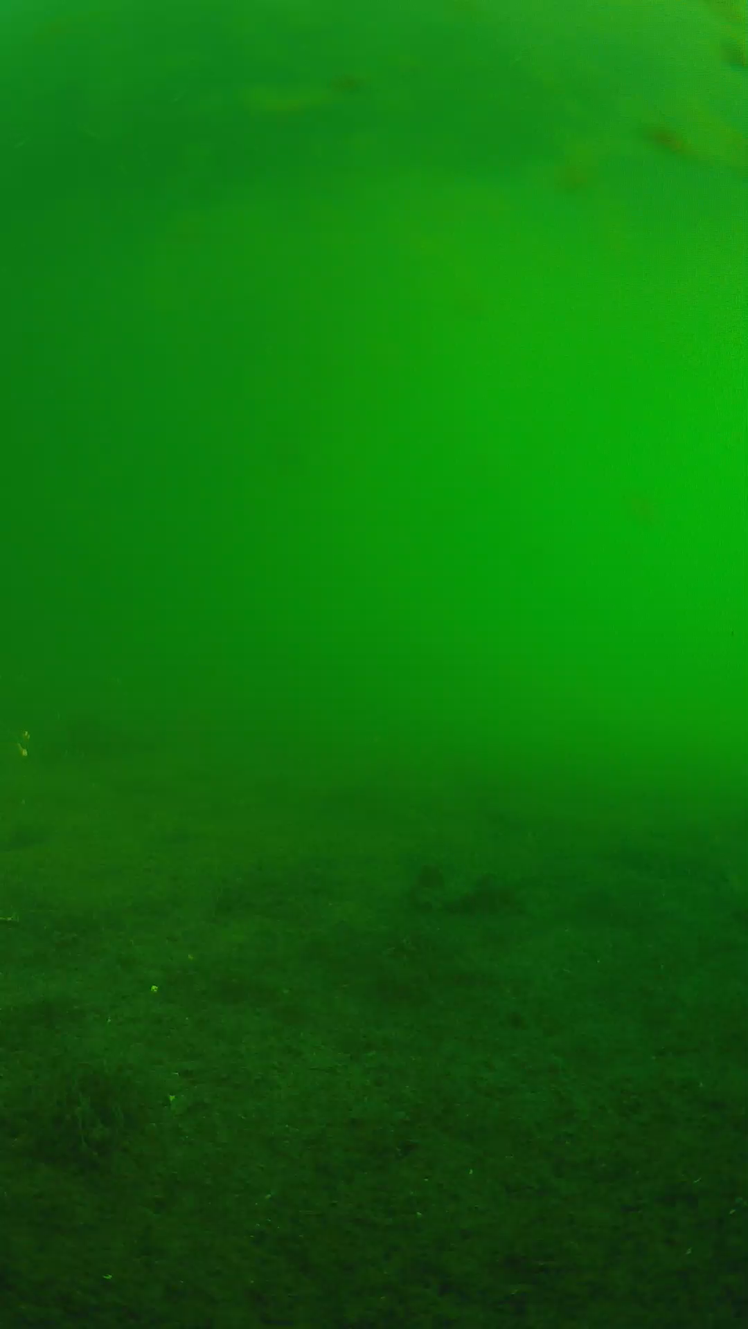 lander_ipcam_20240622063606.png