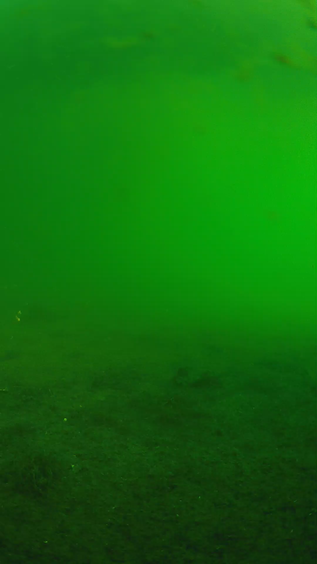 lander_ipcam_20240622063607.png