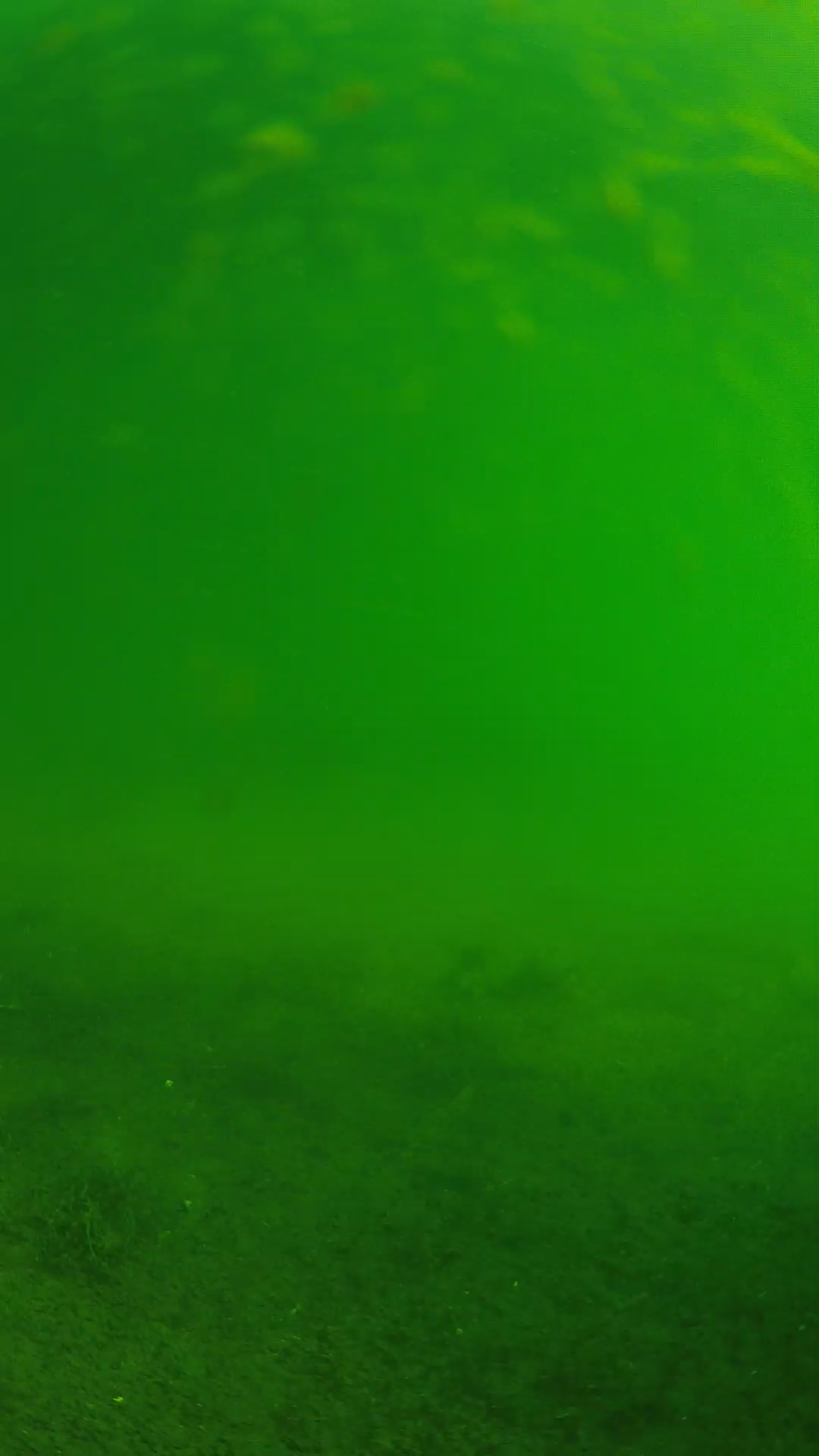 lander_ipcam_20240622080548.png