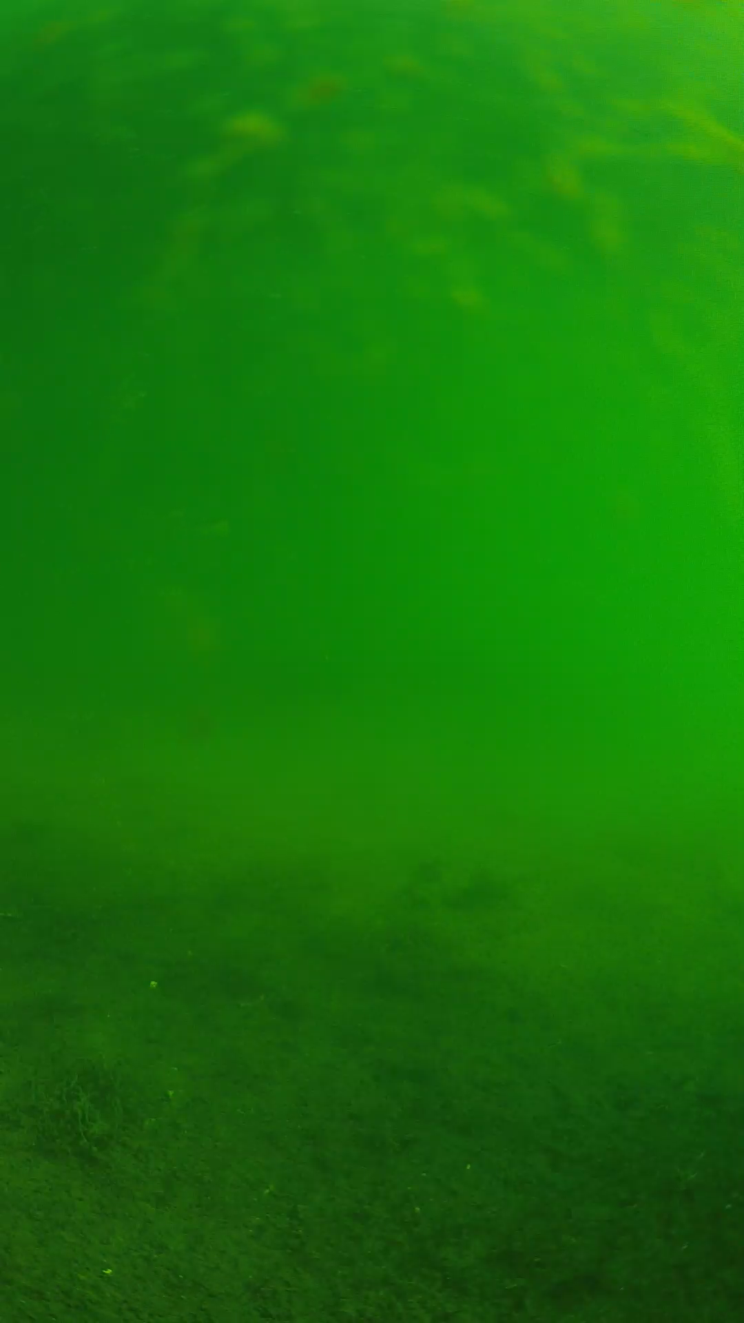 lander_ipcam_20240622080553.png
