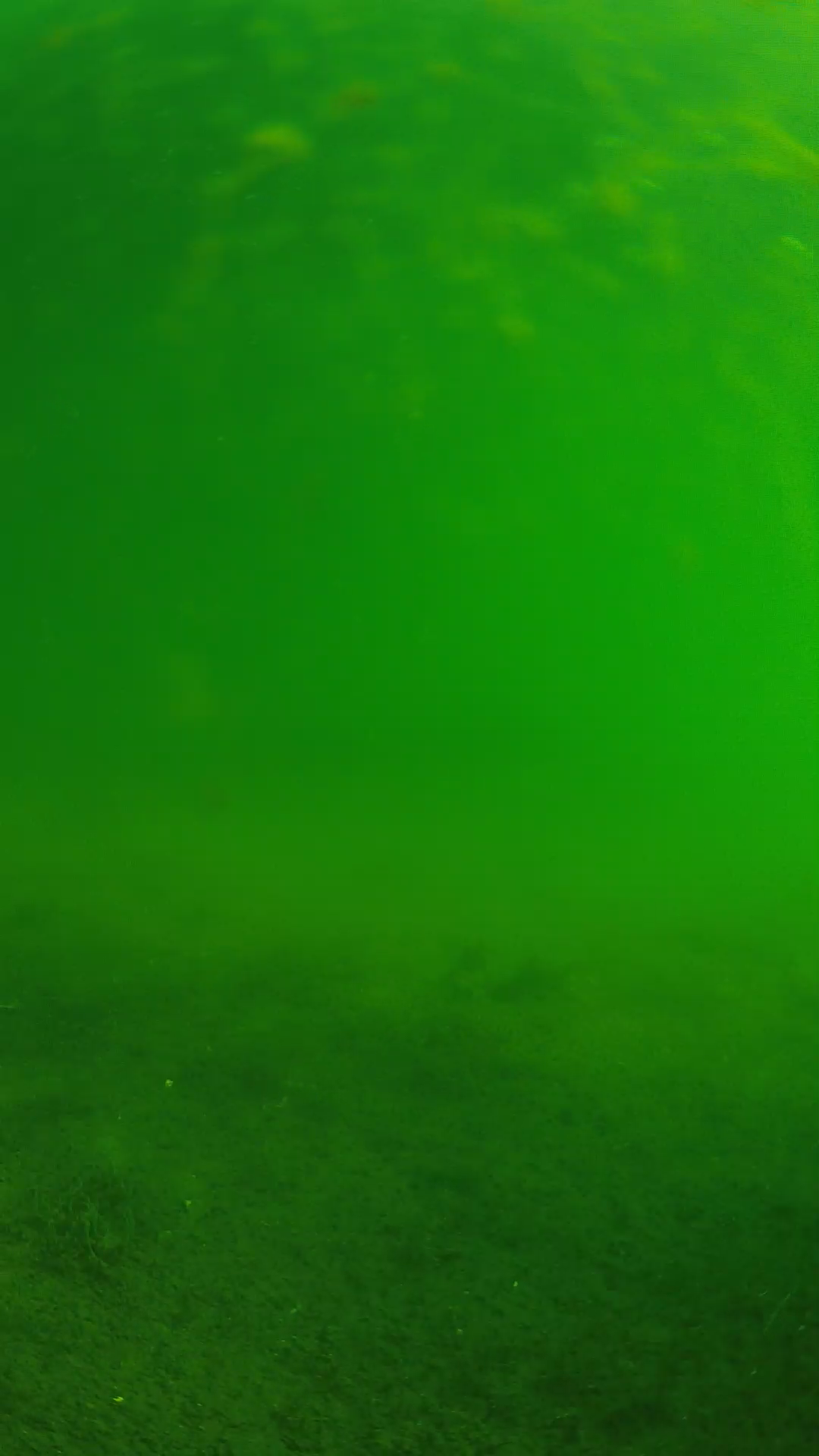 lander_ipcam_20240622080558.png