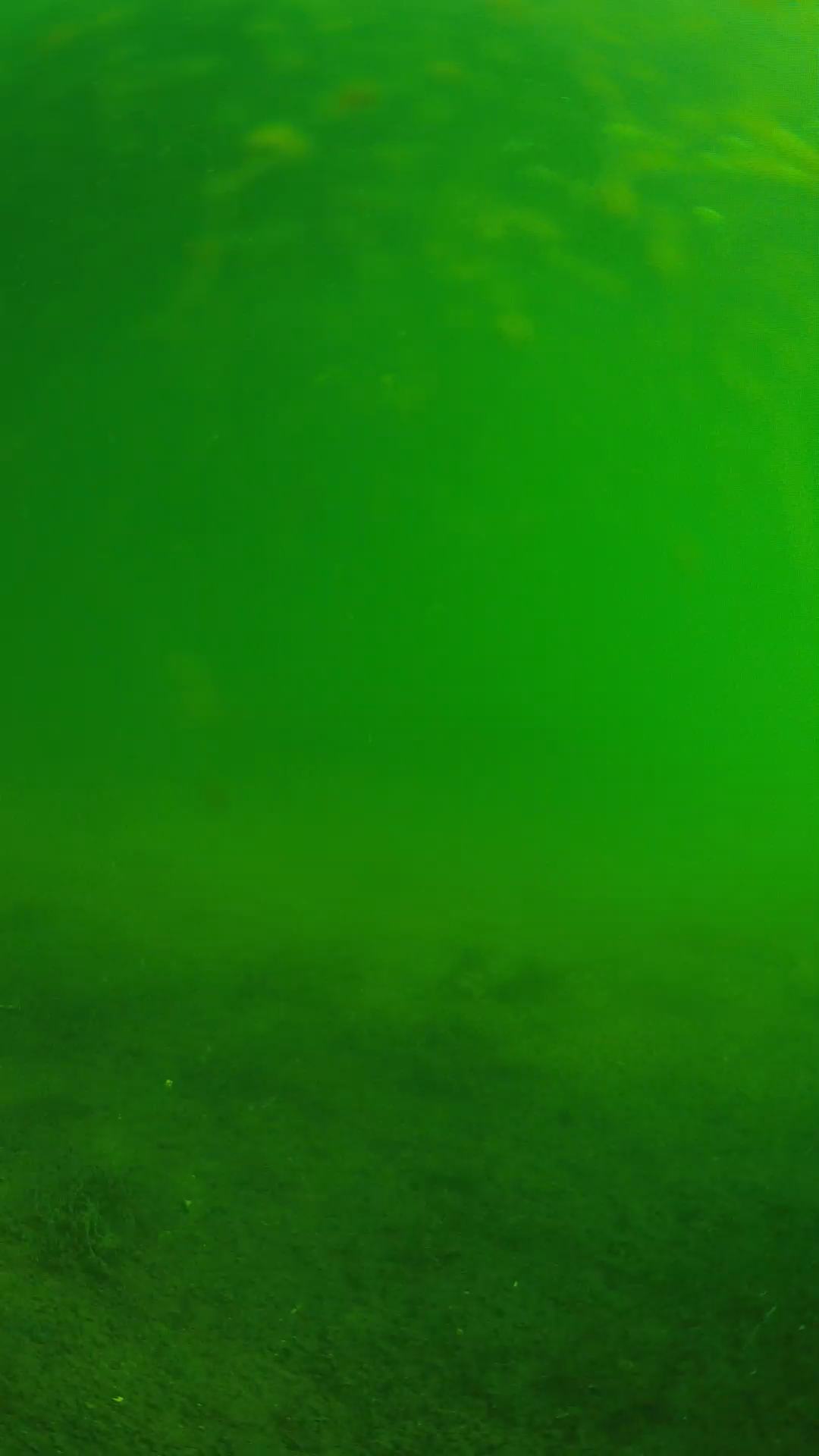 lander_ipcam_20240622080559.png