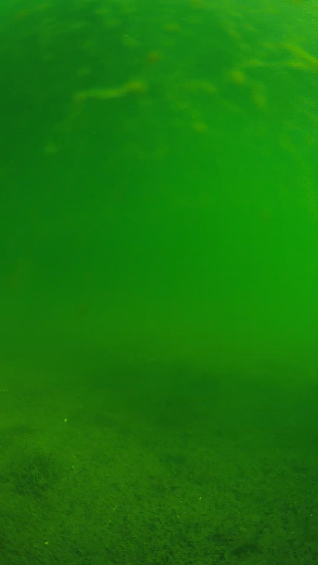 lander_ipcam_20240622083601.png