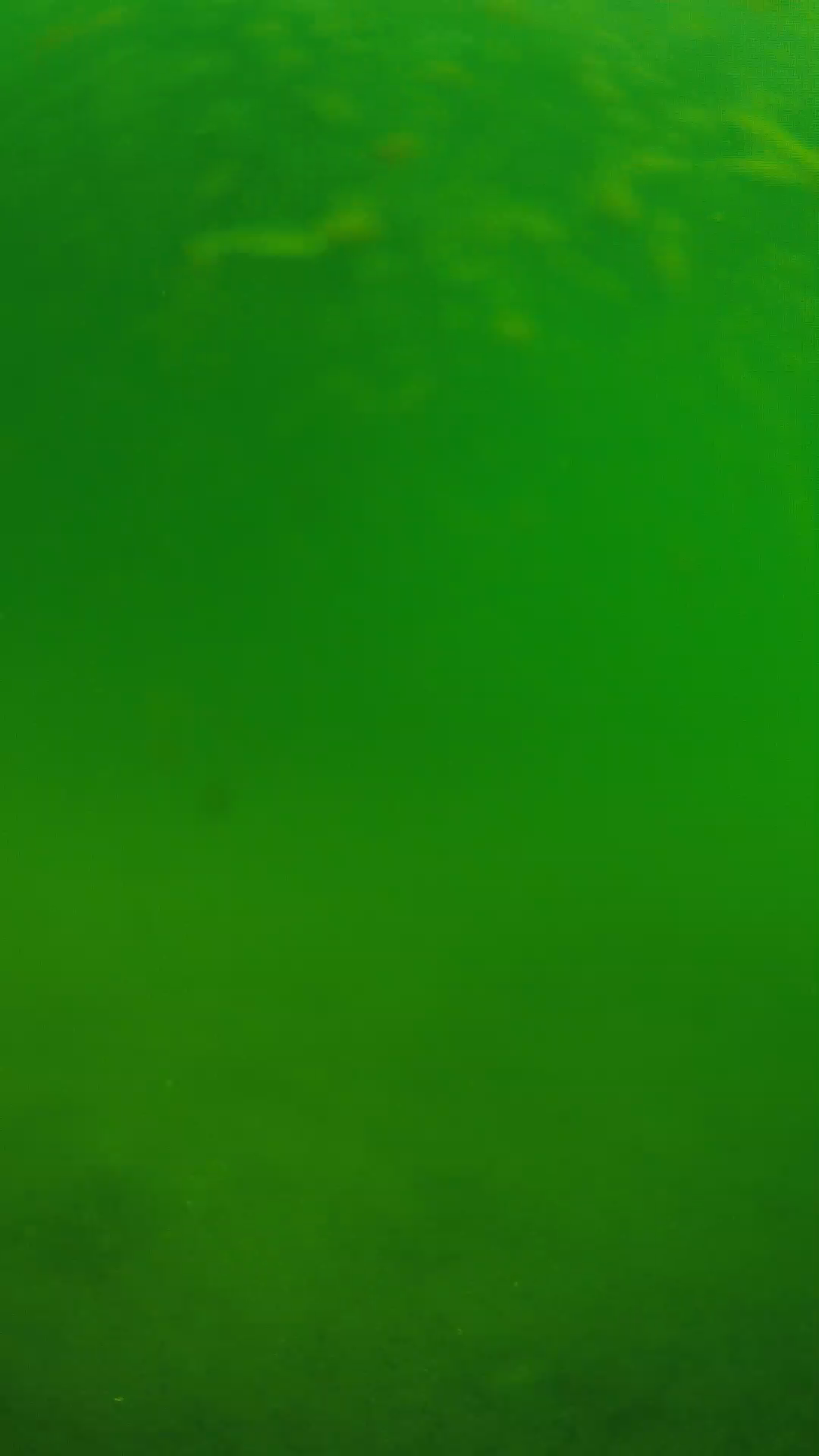 lander_ipcam_20240622090538.png
