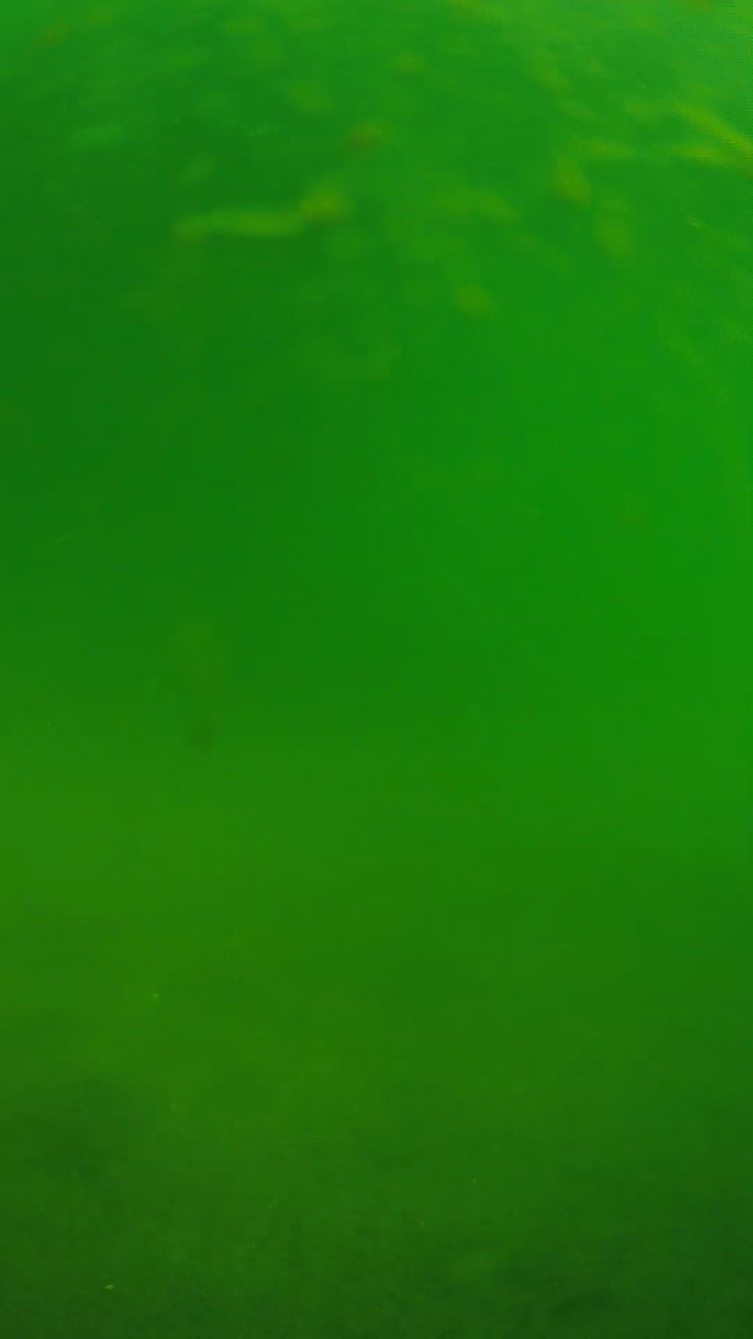 lander_ipcam_20240622090539.png