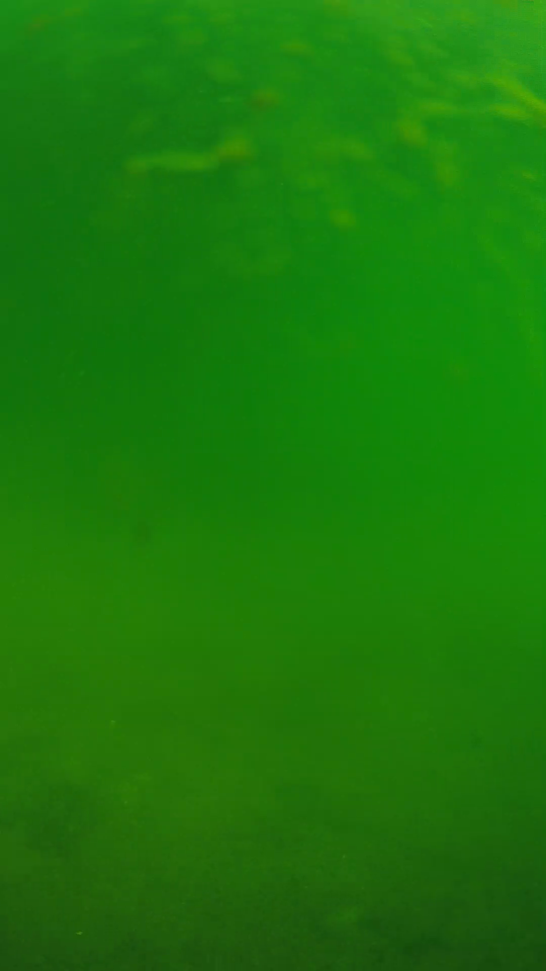 lander_ipcam_20240622090540.png