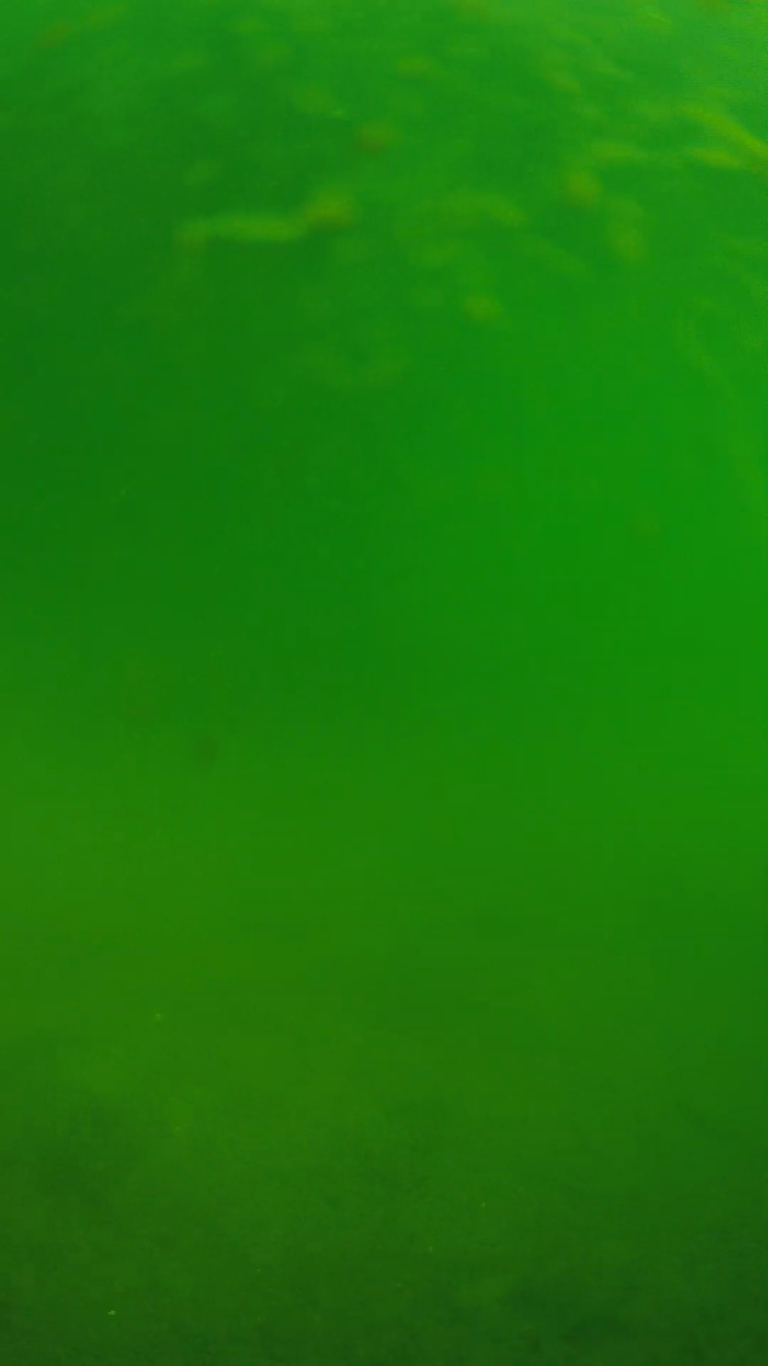 lander_ipcam_20240622090541.png