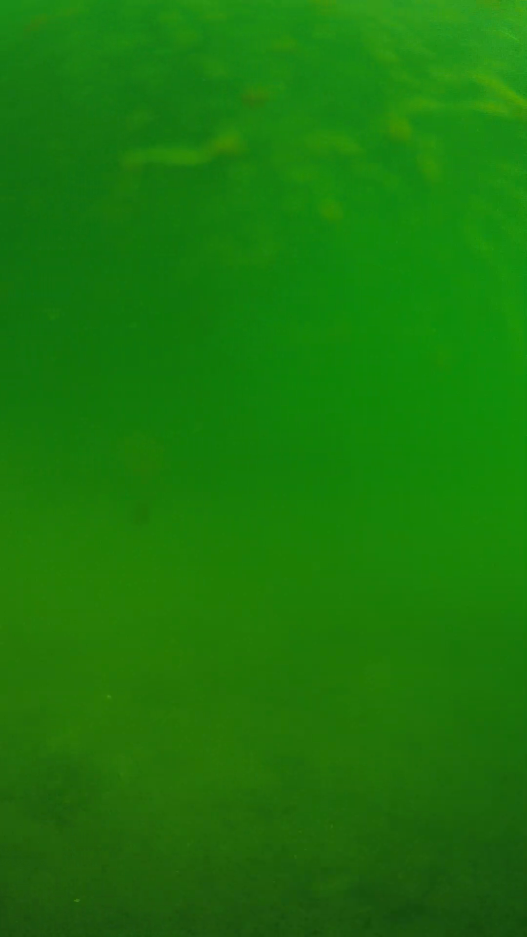 lander_ipcam_20240622090542.png