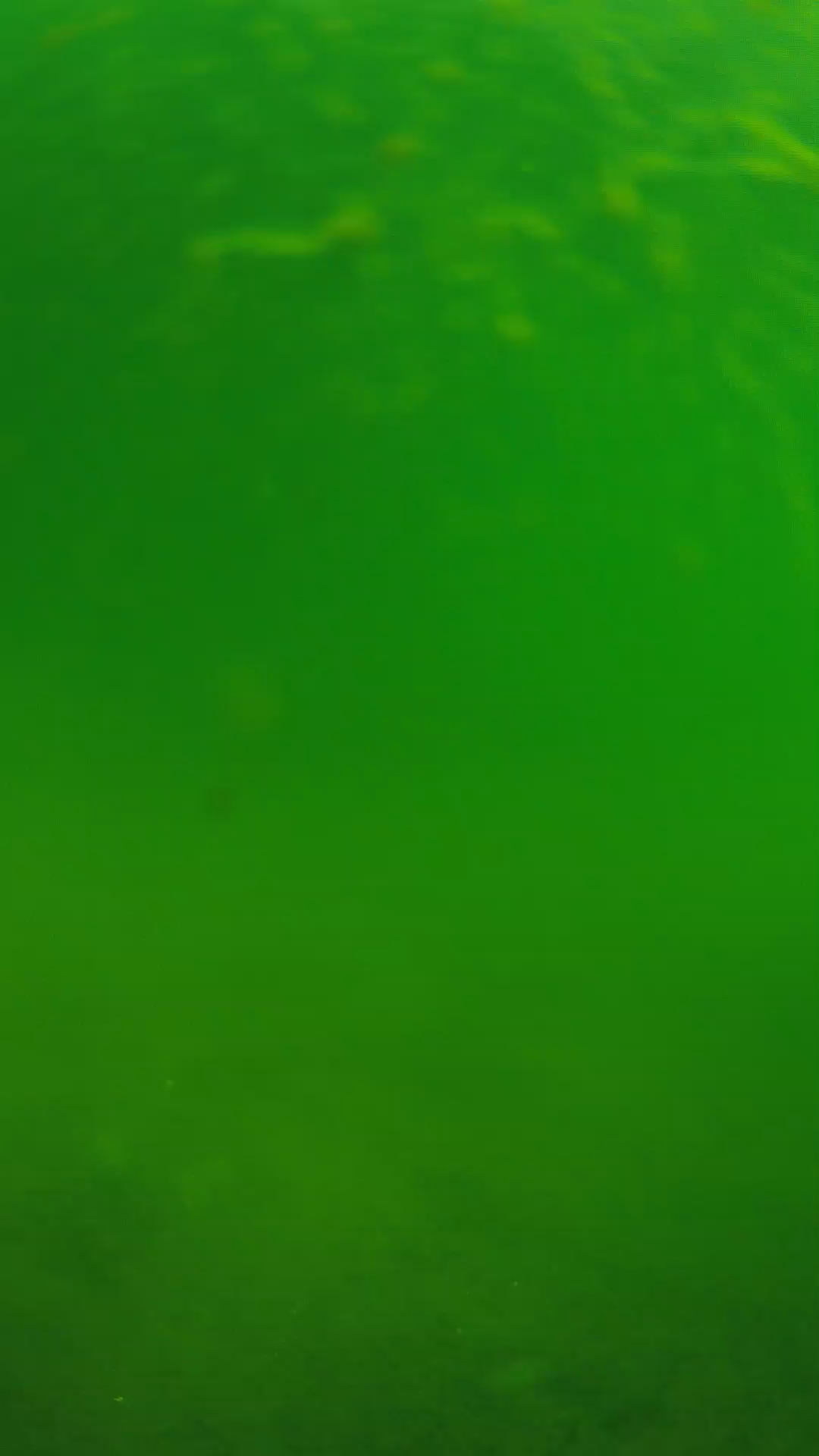 lander_ipcam_20240622090543.png