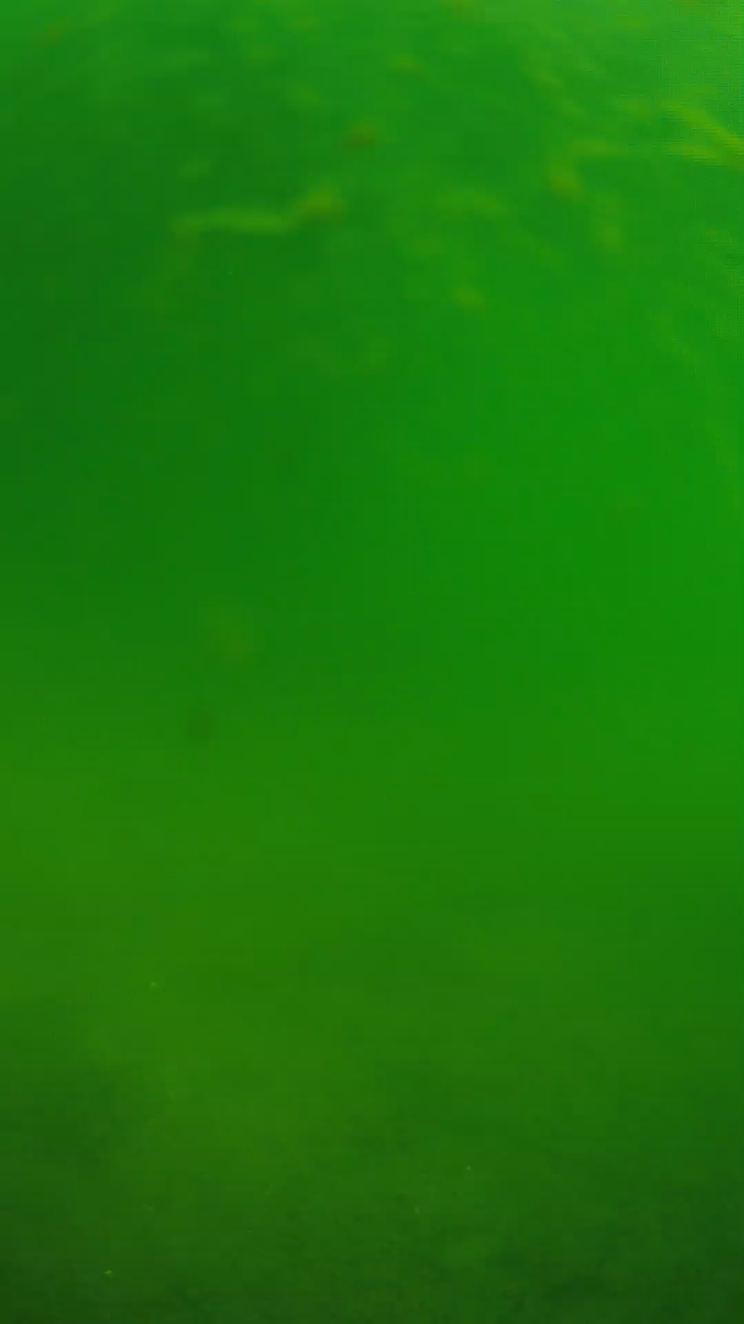 lander_ipcam_20240622090544.png