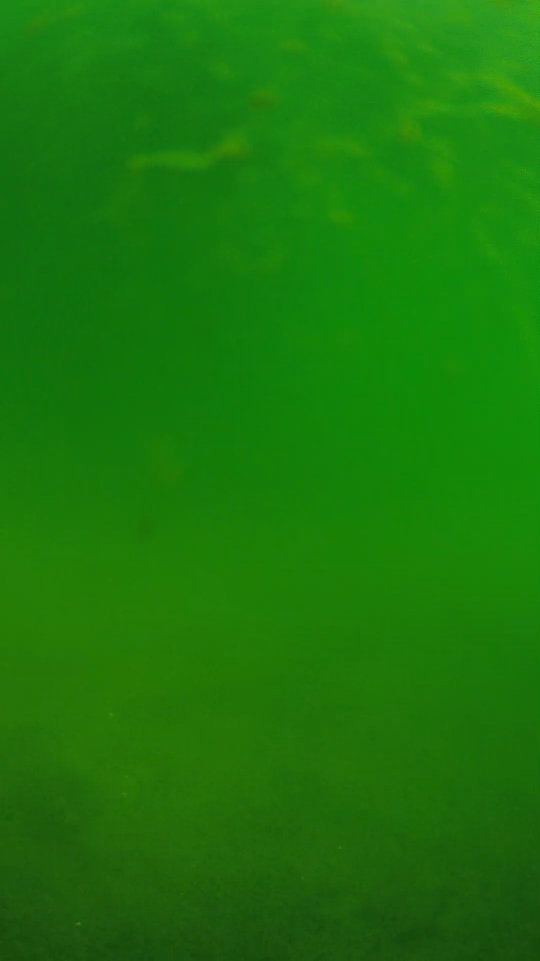 lander_ipcam_20240622090545.png