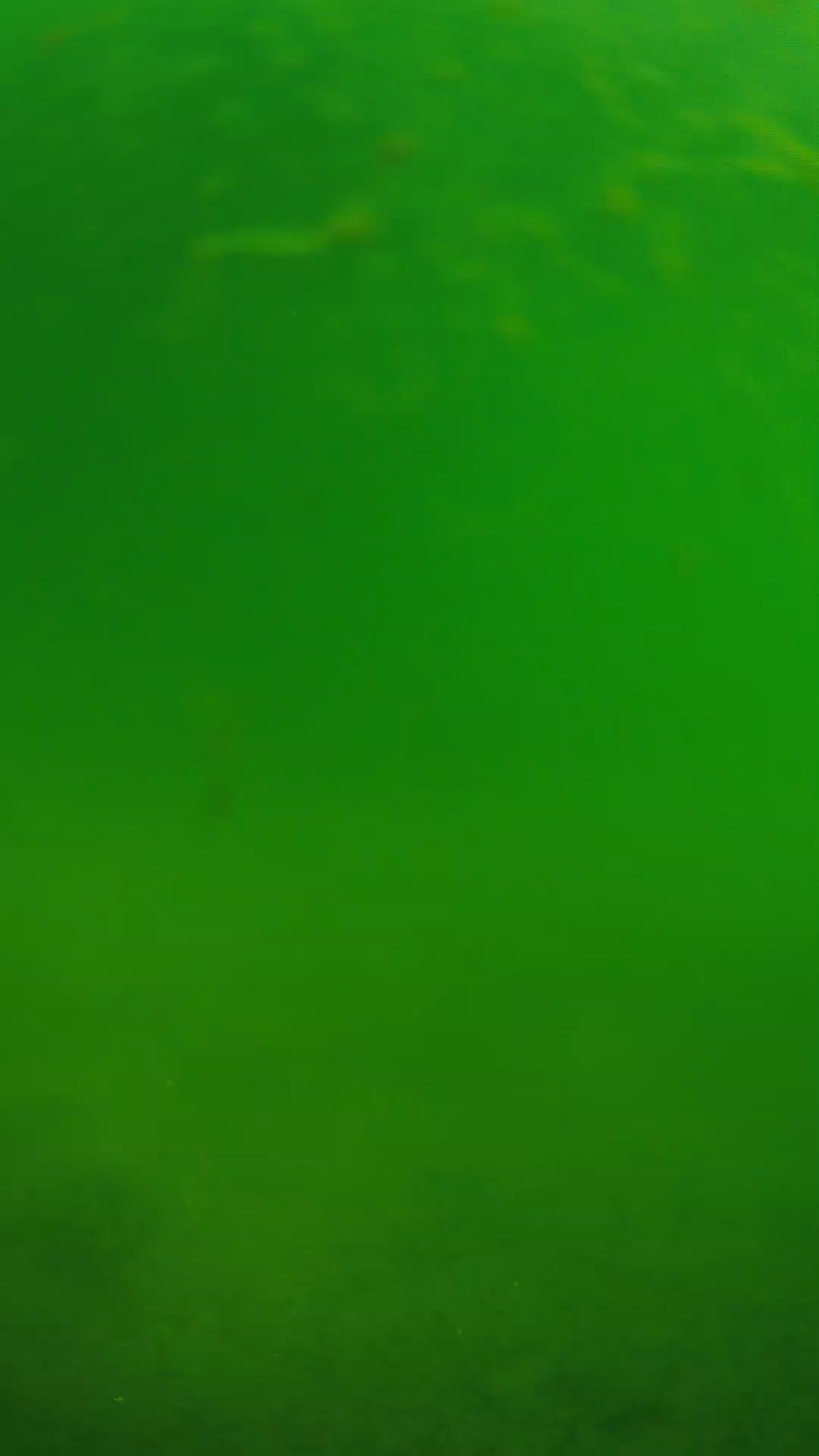 lander_ipcam_20240622090546.png