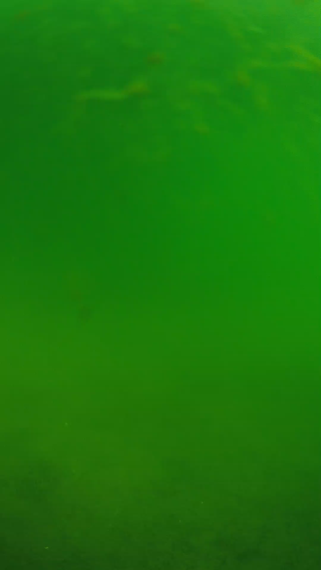 lander_ipcam_20240622090547.png