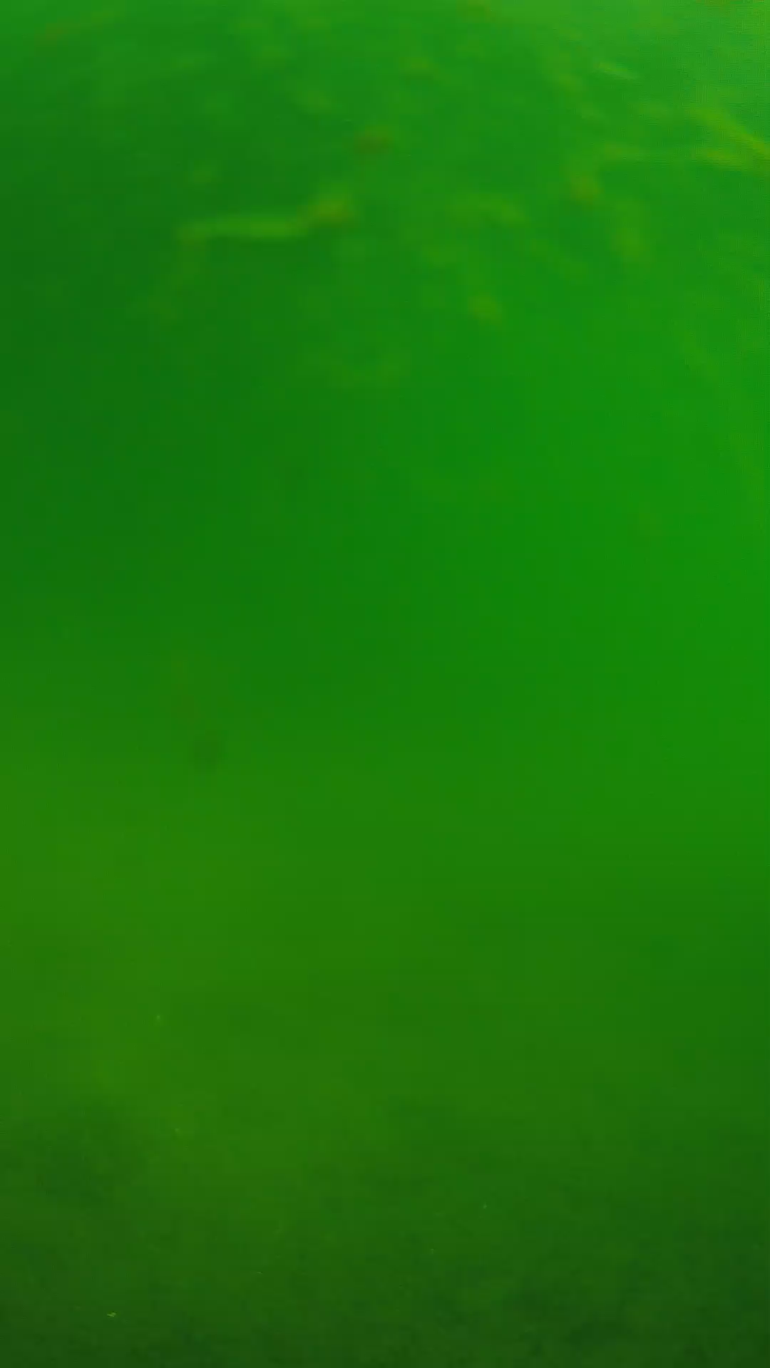lander_ipcam_20240622090548.png