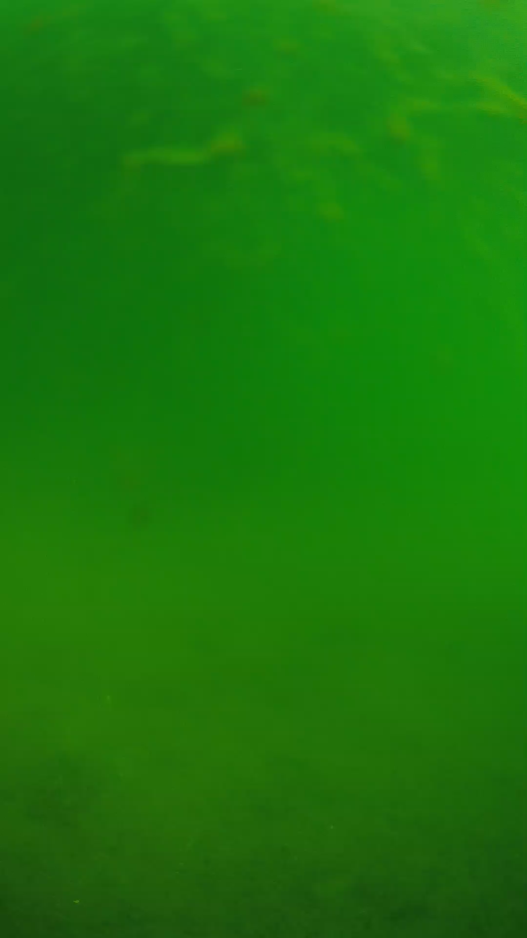 lander_ipcam_20240622090549.png