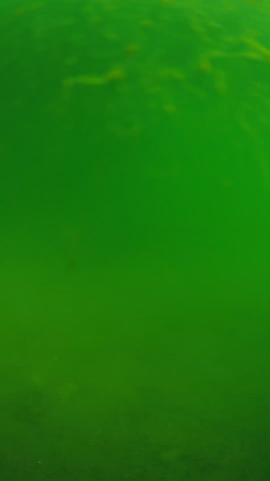 lander_ipcam_20240622090550.png