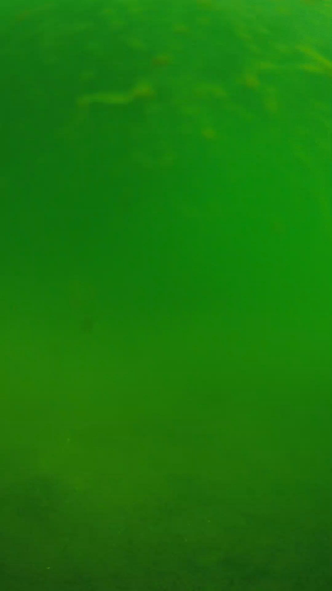 lander_ipcam_20240622090551.png