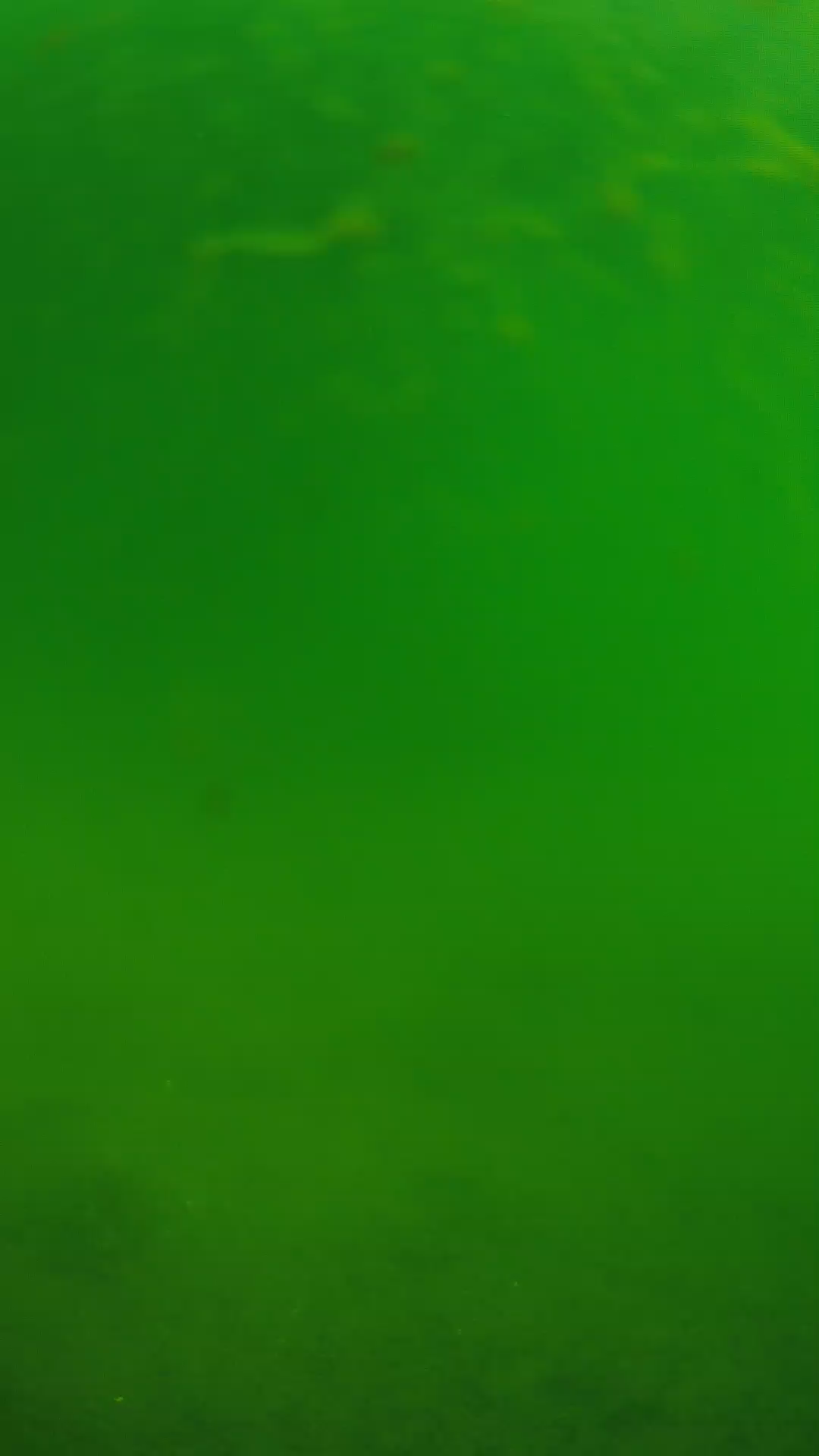lander_ipcam_20240622090552.png