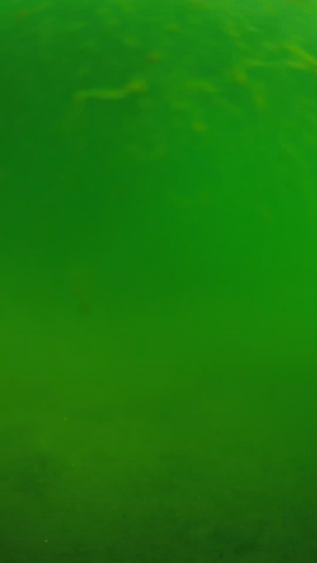 lander_ipcam_20240622090553.png