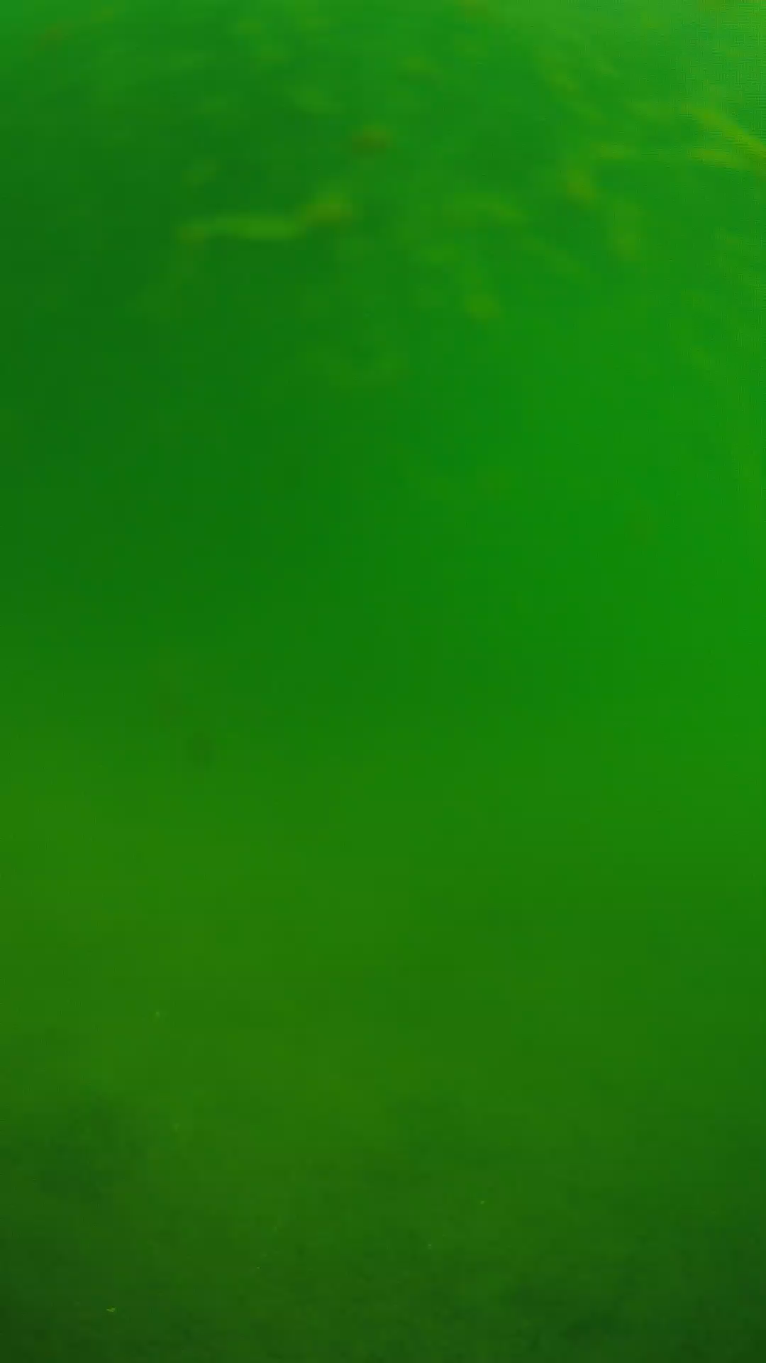 lander_ipcam_20240622090554.png