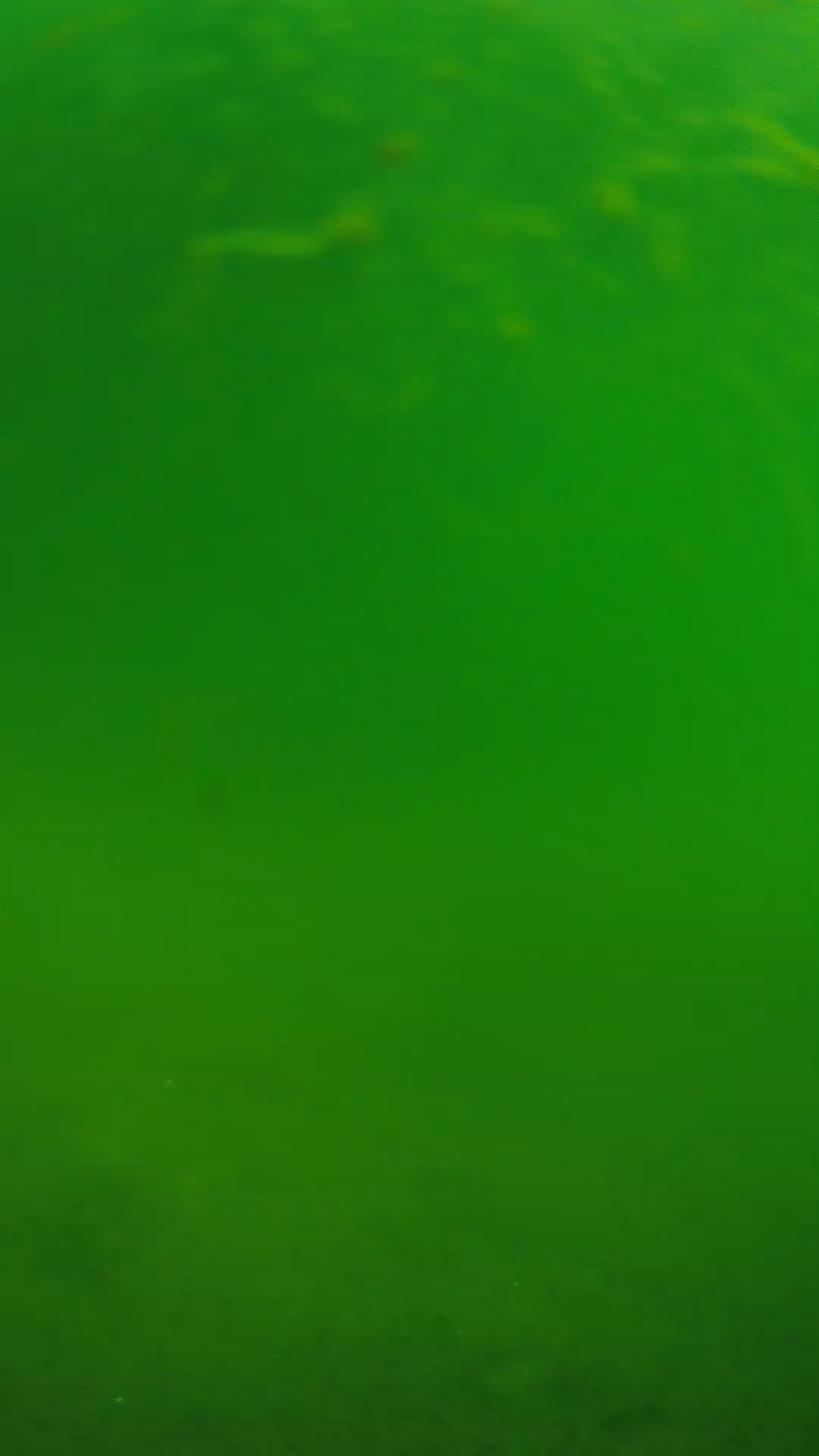 lander_ipcam_20240622090555.png