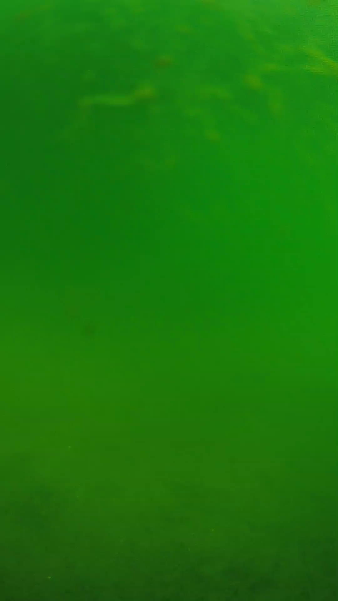 lander_ipcam_20240622090556.png
